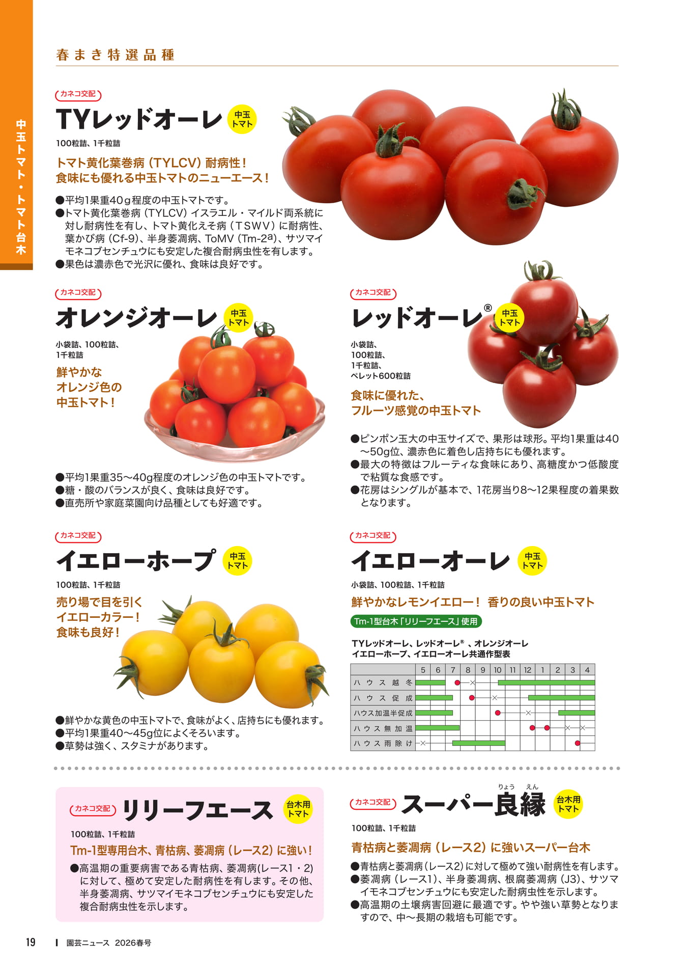 Page 21(21ページ目)