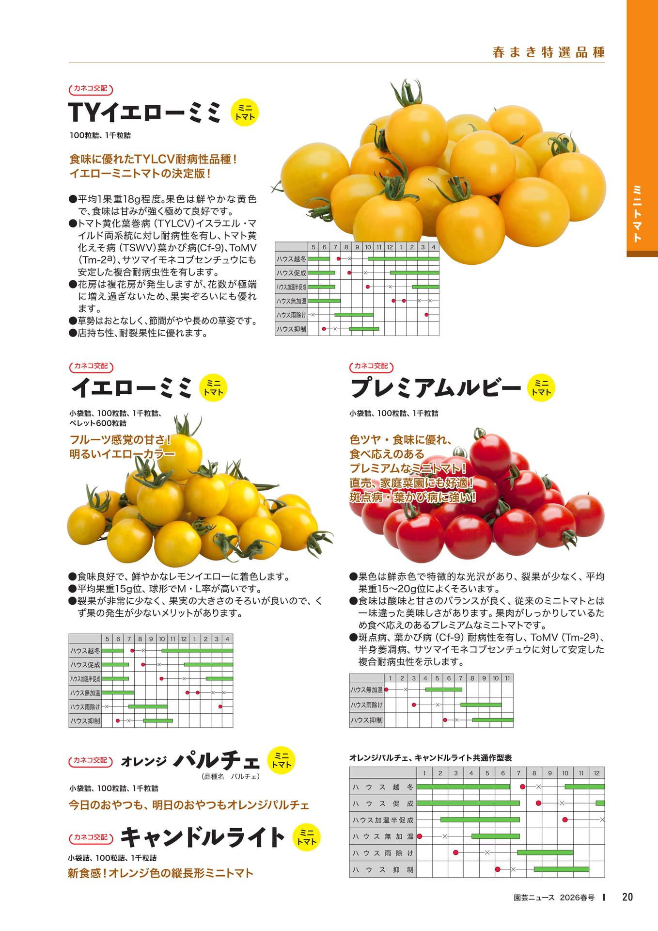 Page 22(22ページ目)