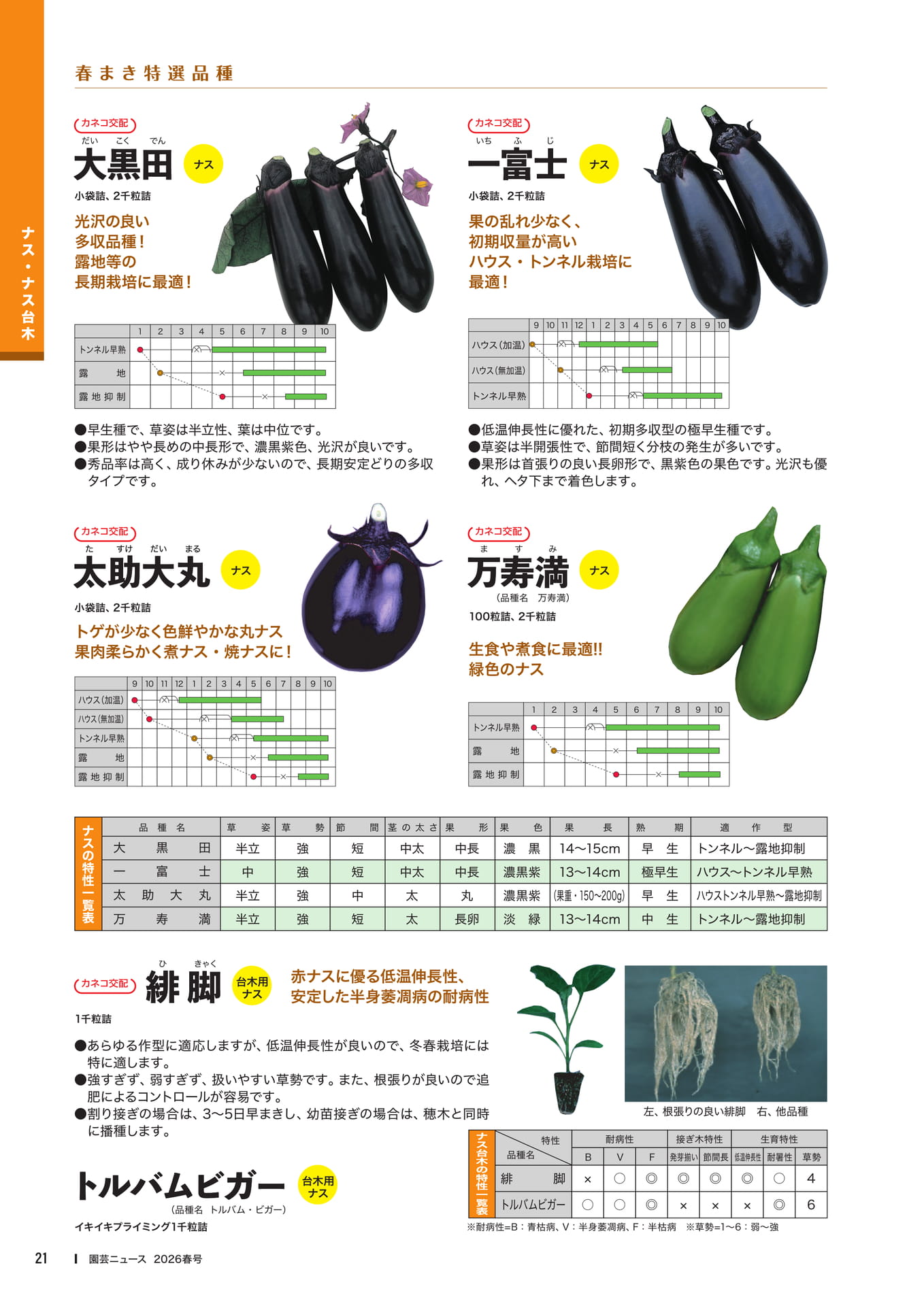 Page 23(23ページ目)
