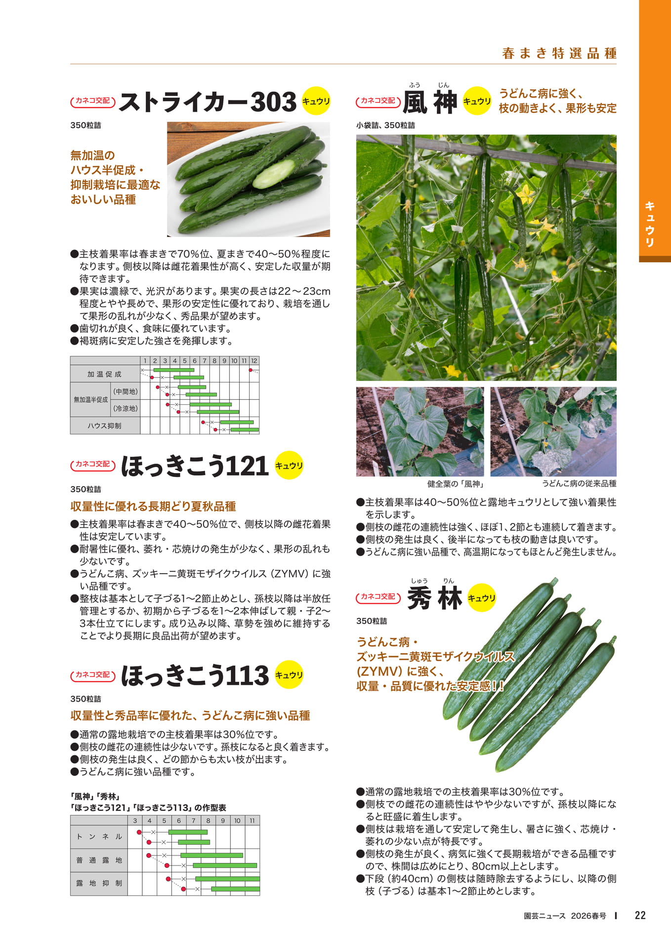 Page 24(24ページ目)