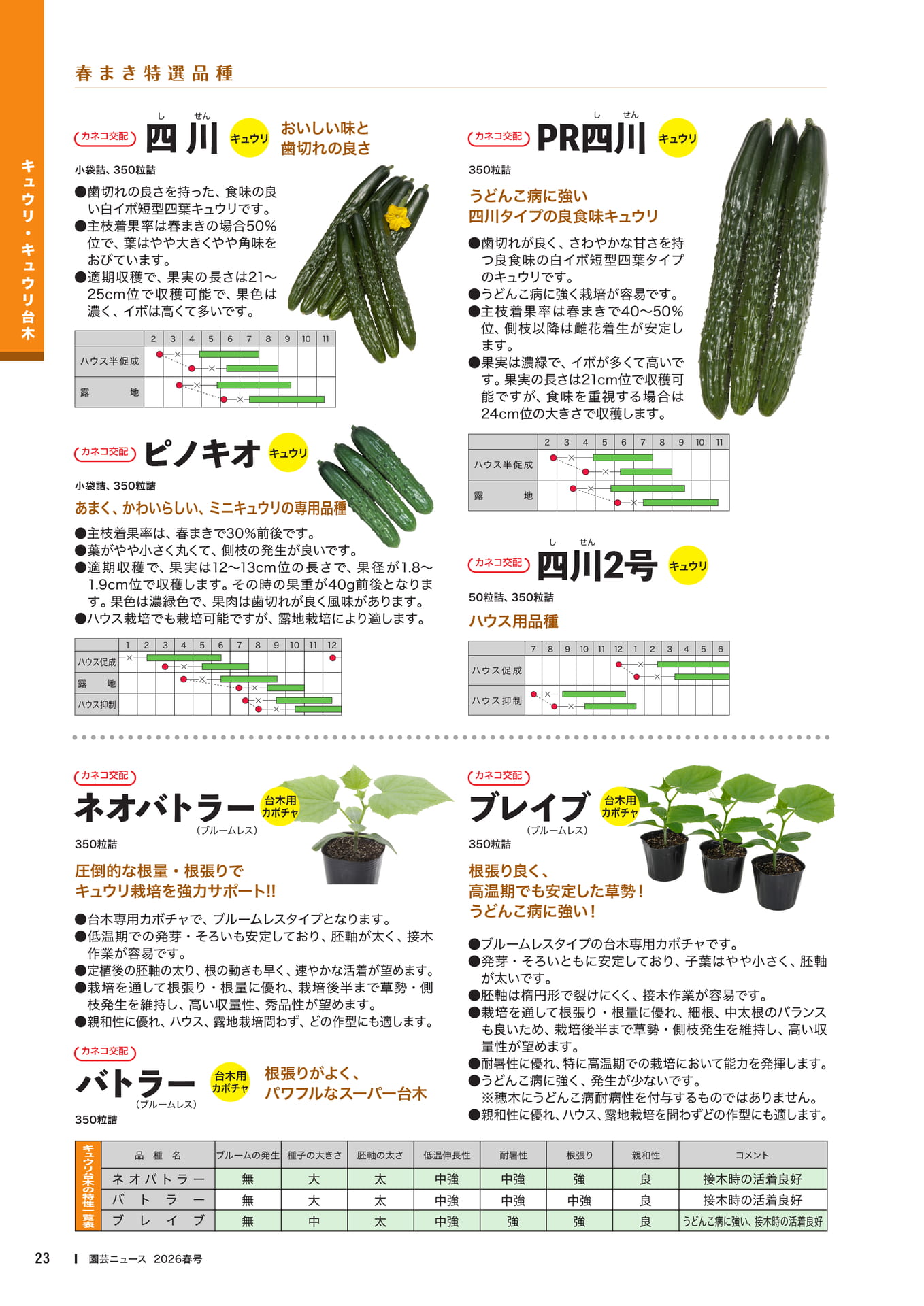 Page 25(25ページ目)