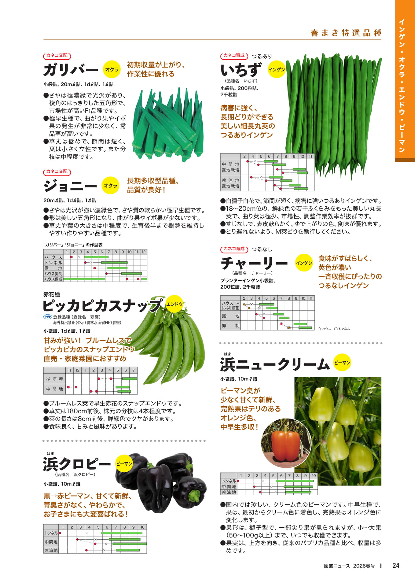 Page 26(26ページ目)