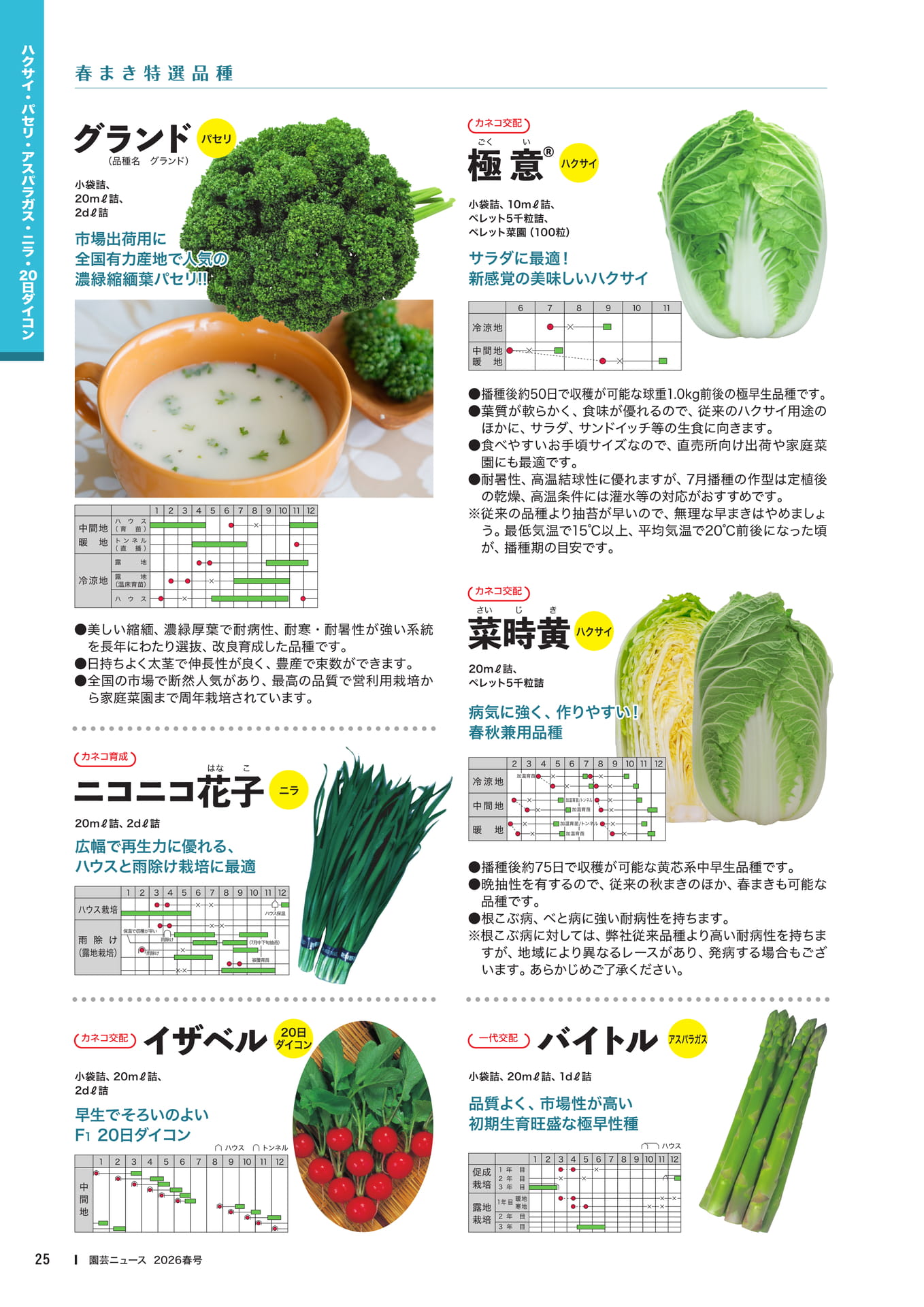 Page 27(27ページ目)