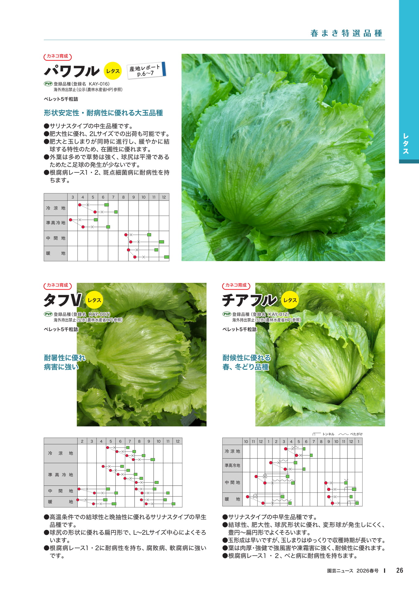 Page 28(28ページ目)