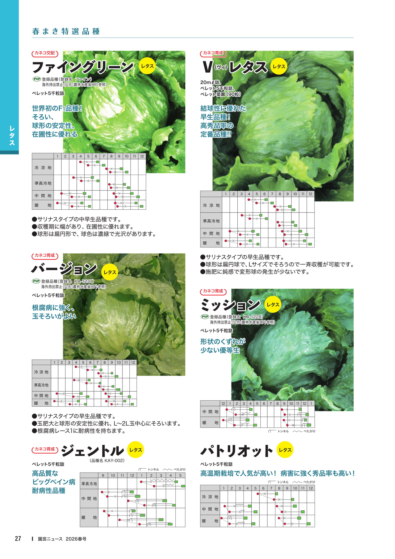 Page 29(29ページ目)