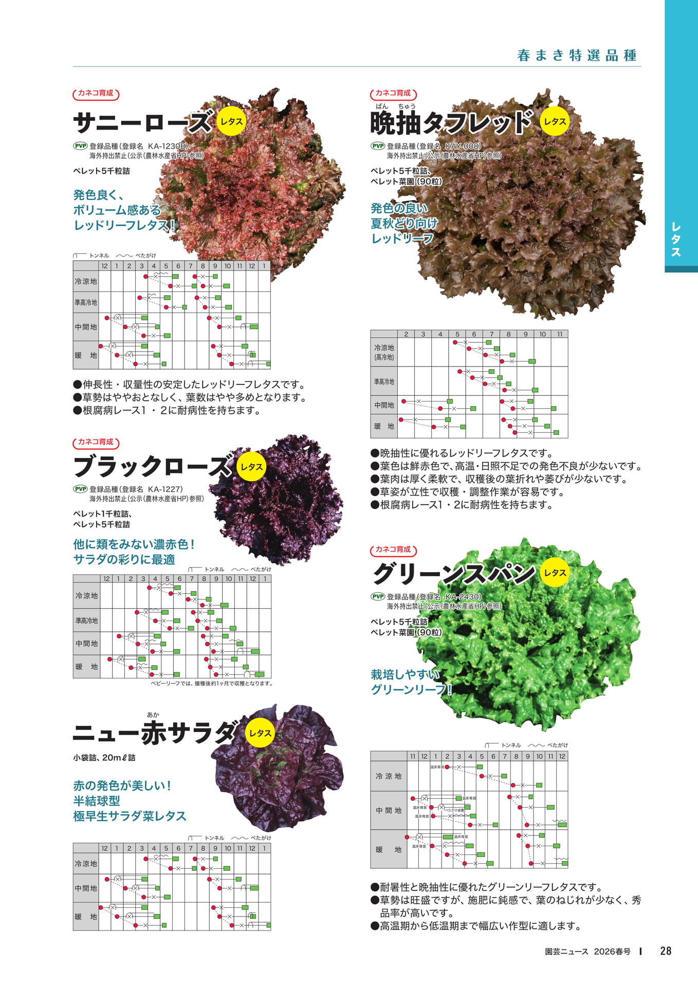 Page 30(30ページ目)