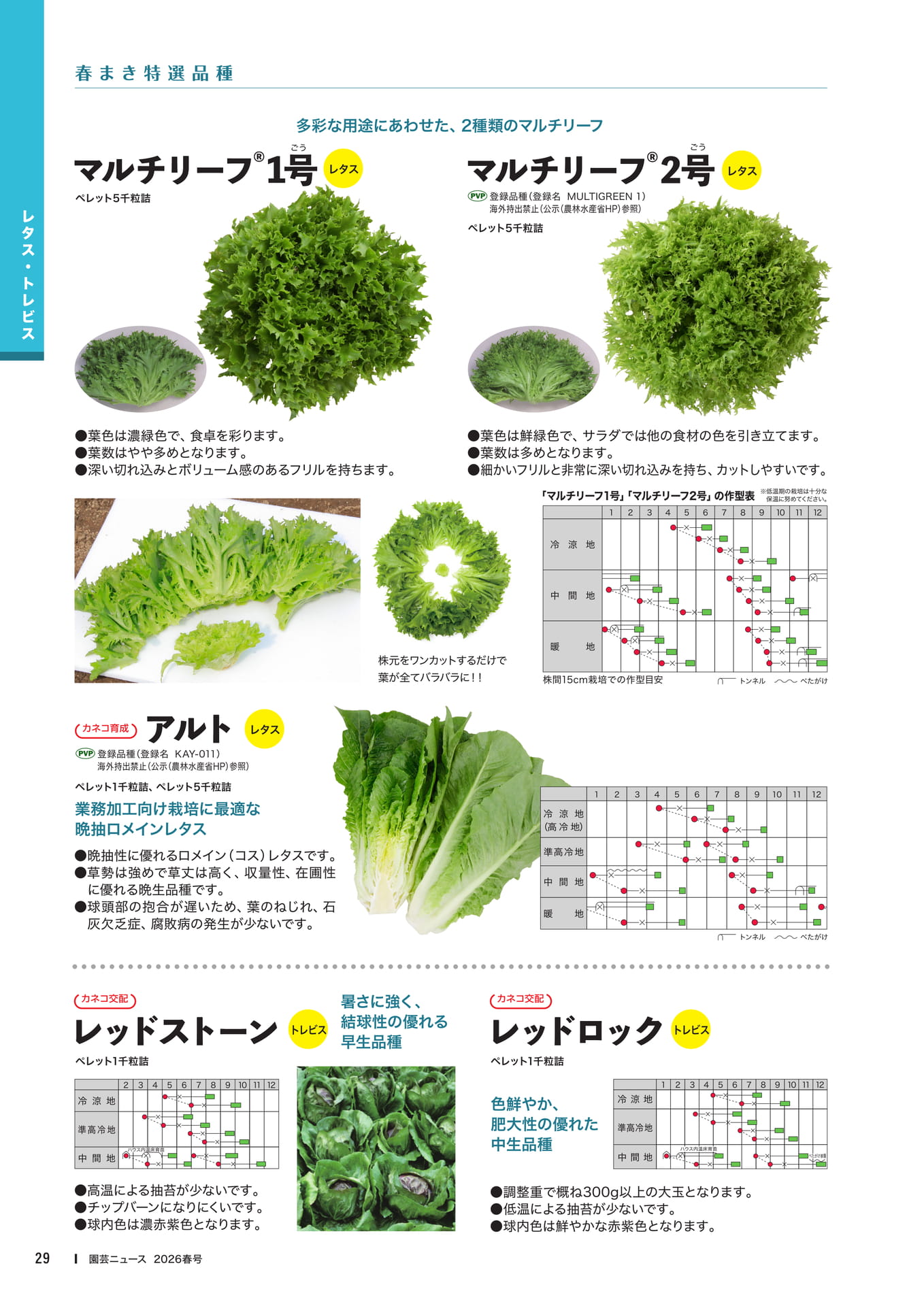Page 31(31ページ目)