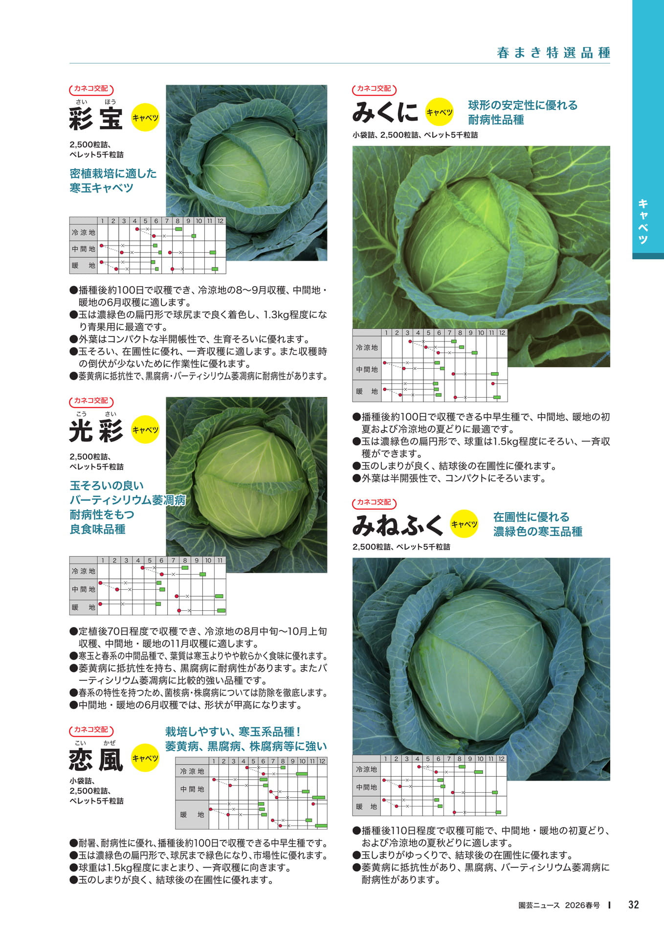 Page 34(34ページ目)
