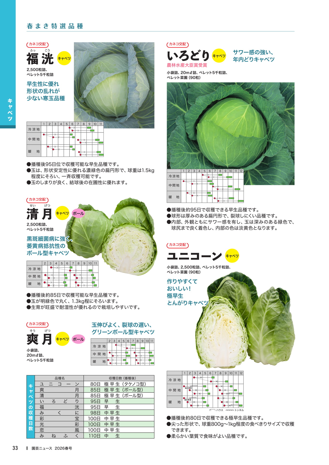 Page 35(35ページ目)