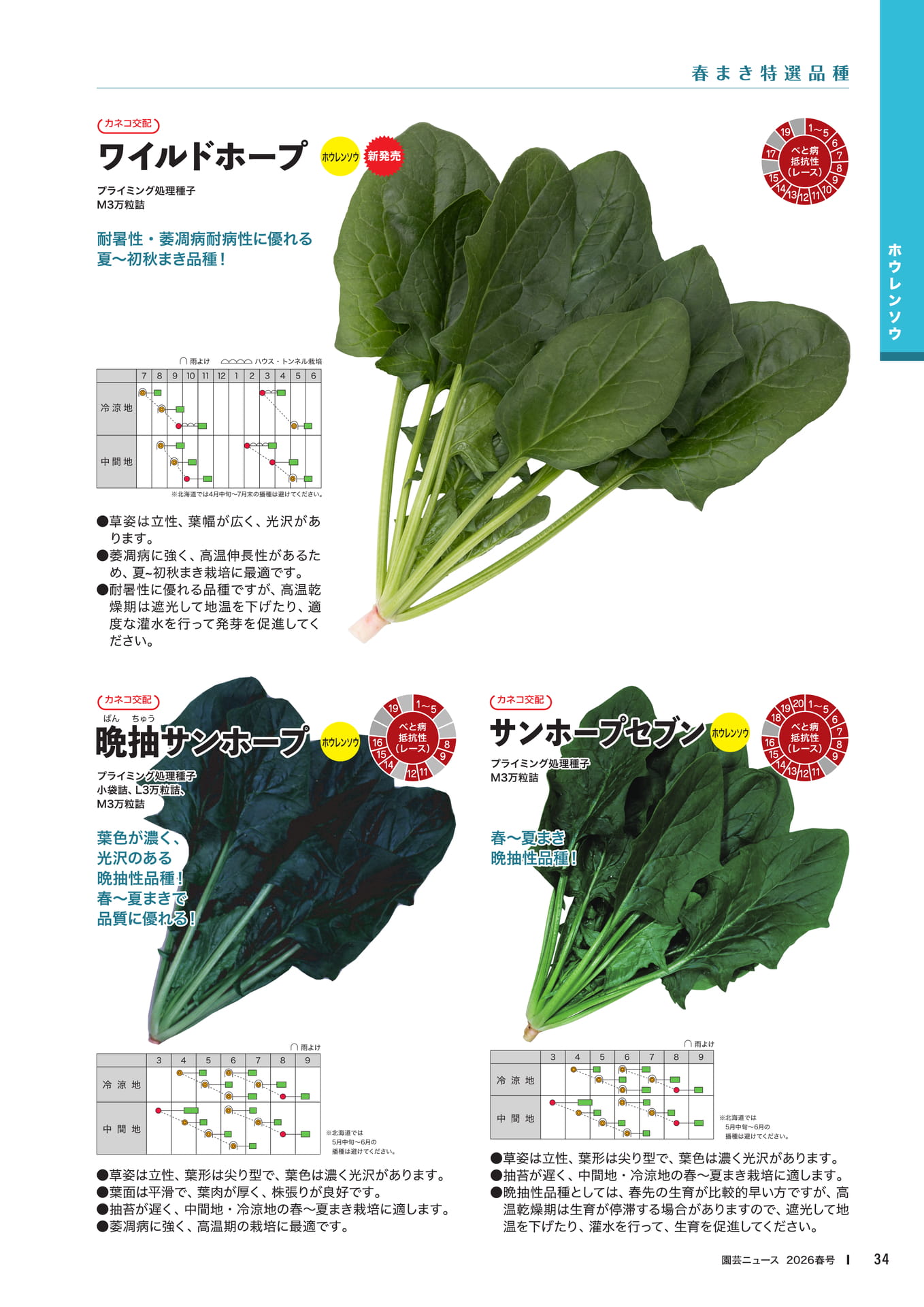 Page 36(36ページ目)
