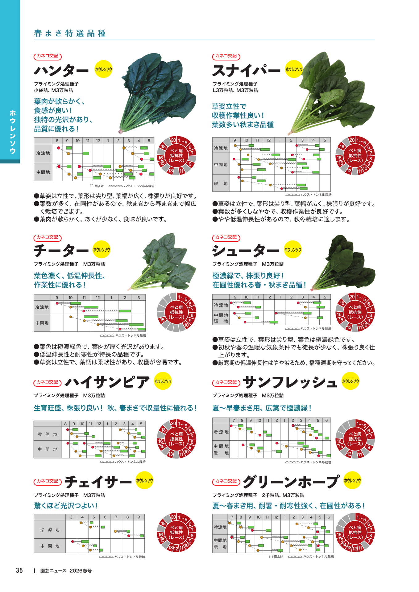 Page 37(37ページ目)