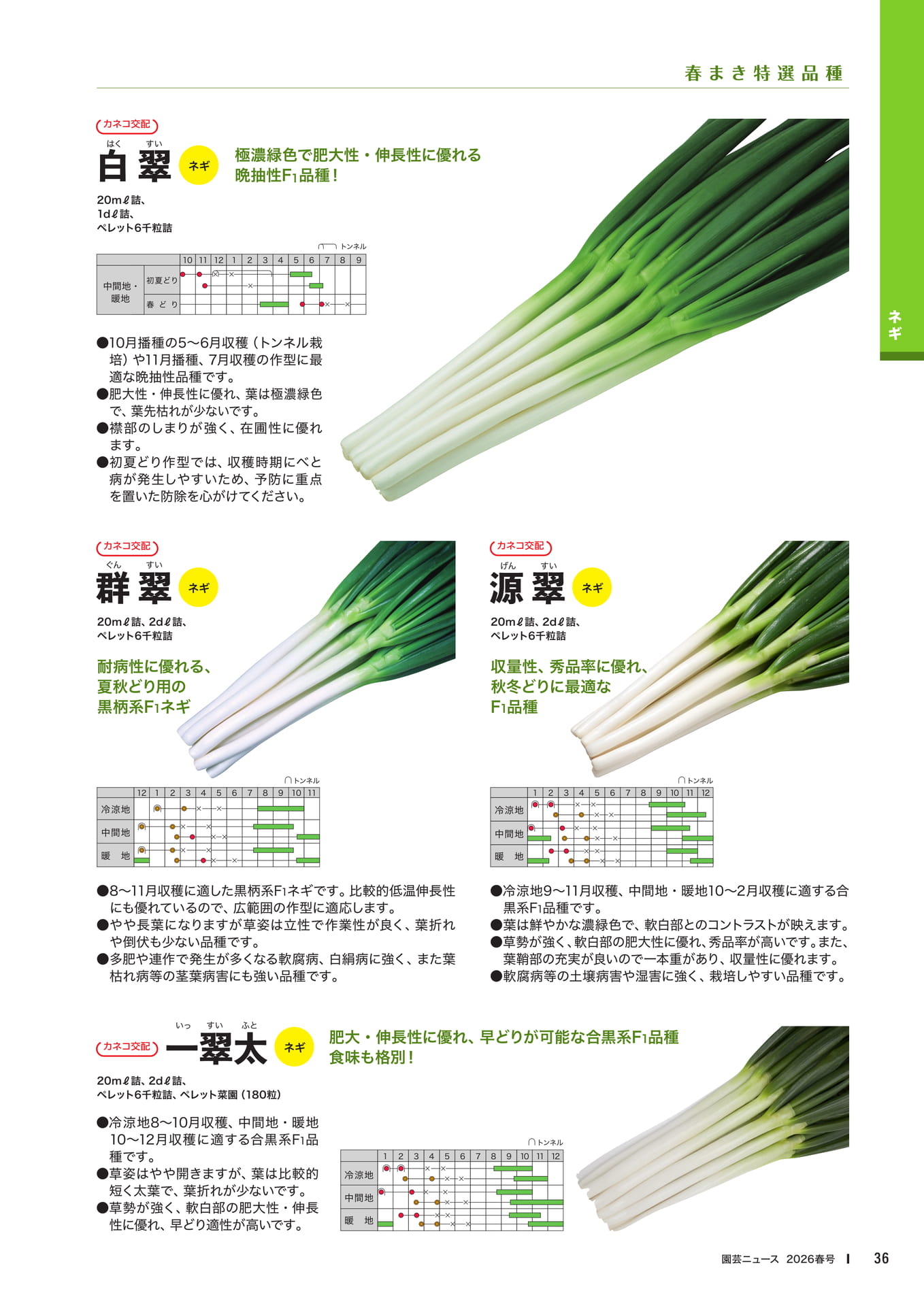 Page 38(38ページ目)