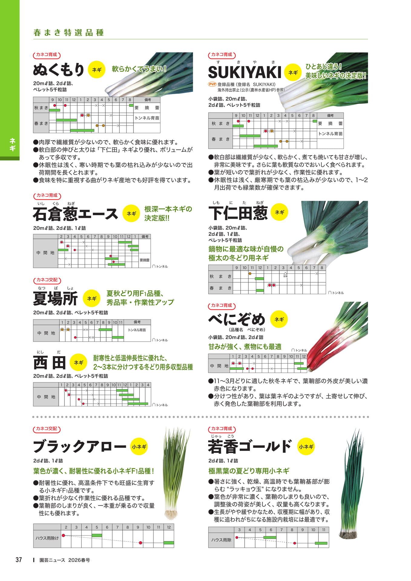 Page 39(39ページ目)