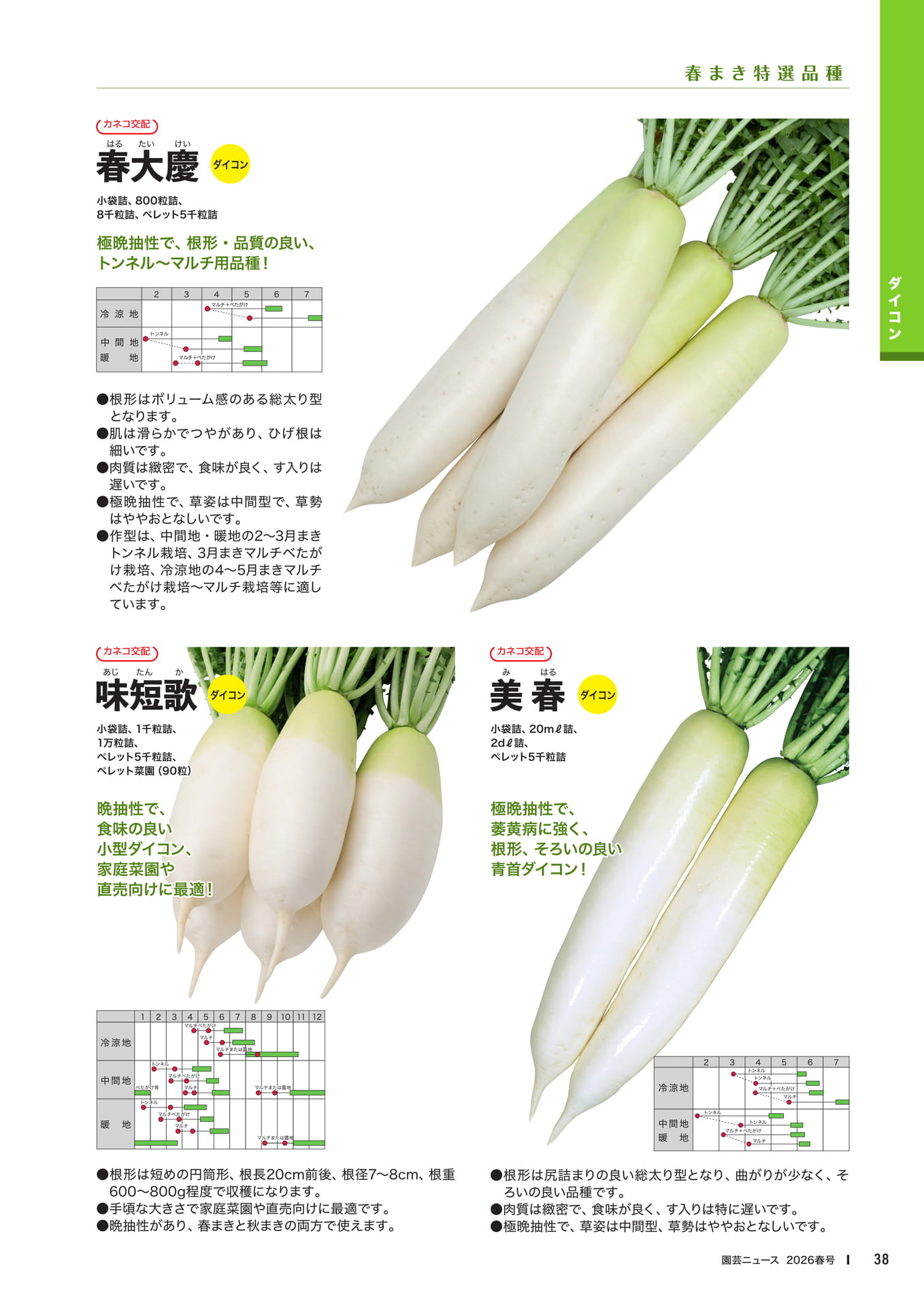Page 40(40ページ目)