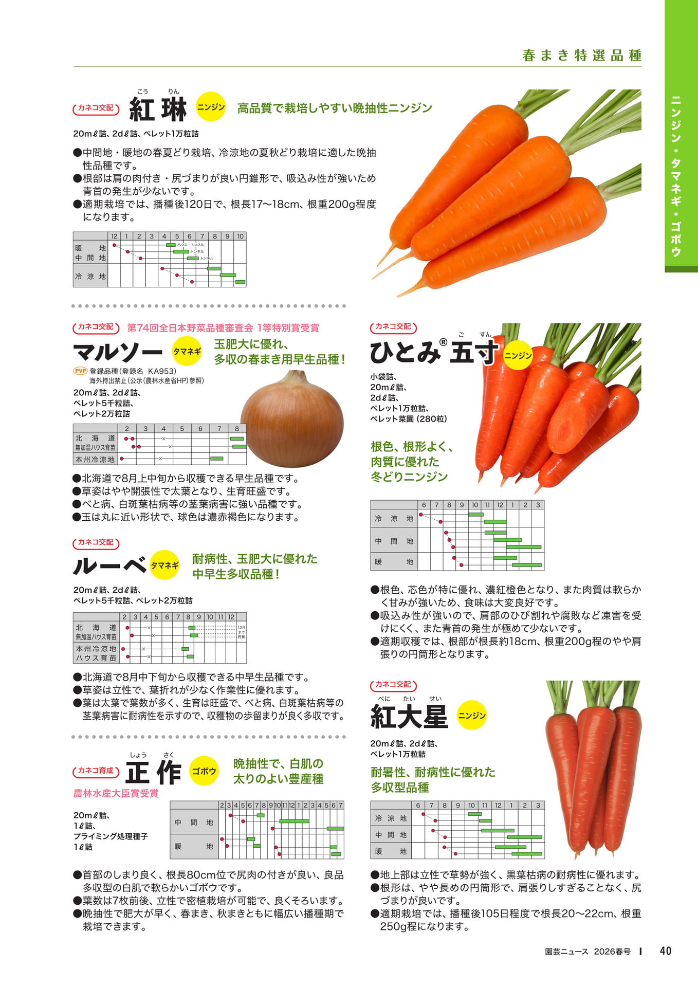 Page 42(42ページ目)