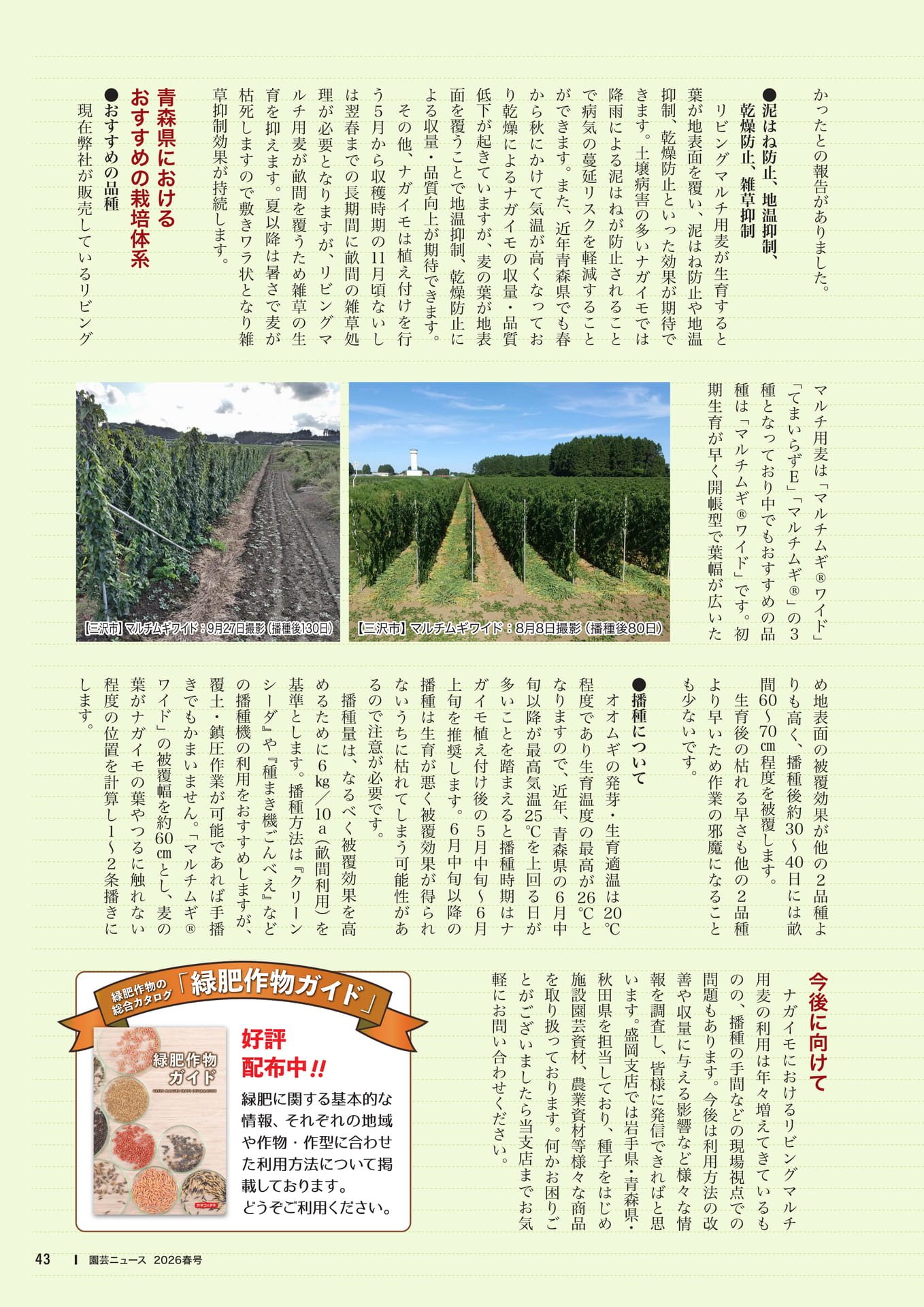 Page 45(45ページ目)