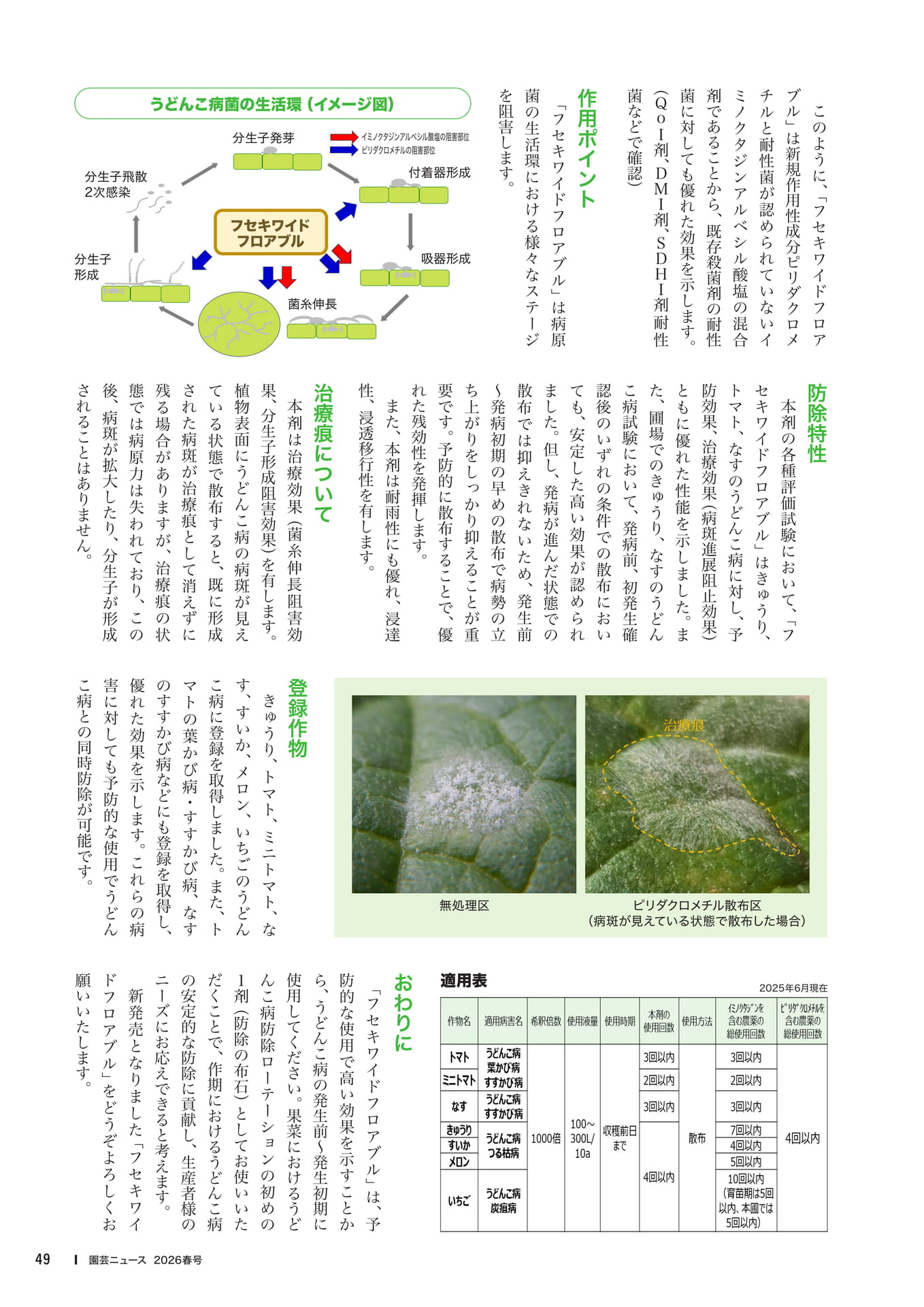 Page 51(51ページ目)