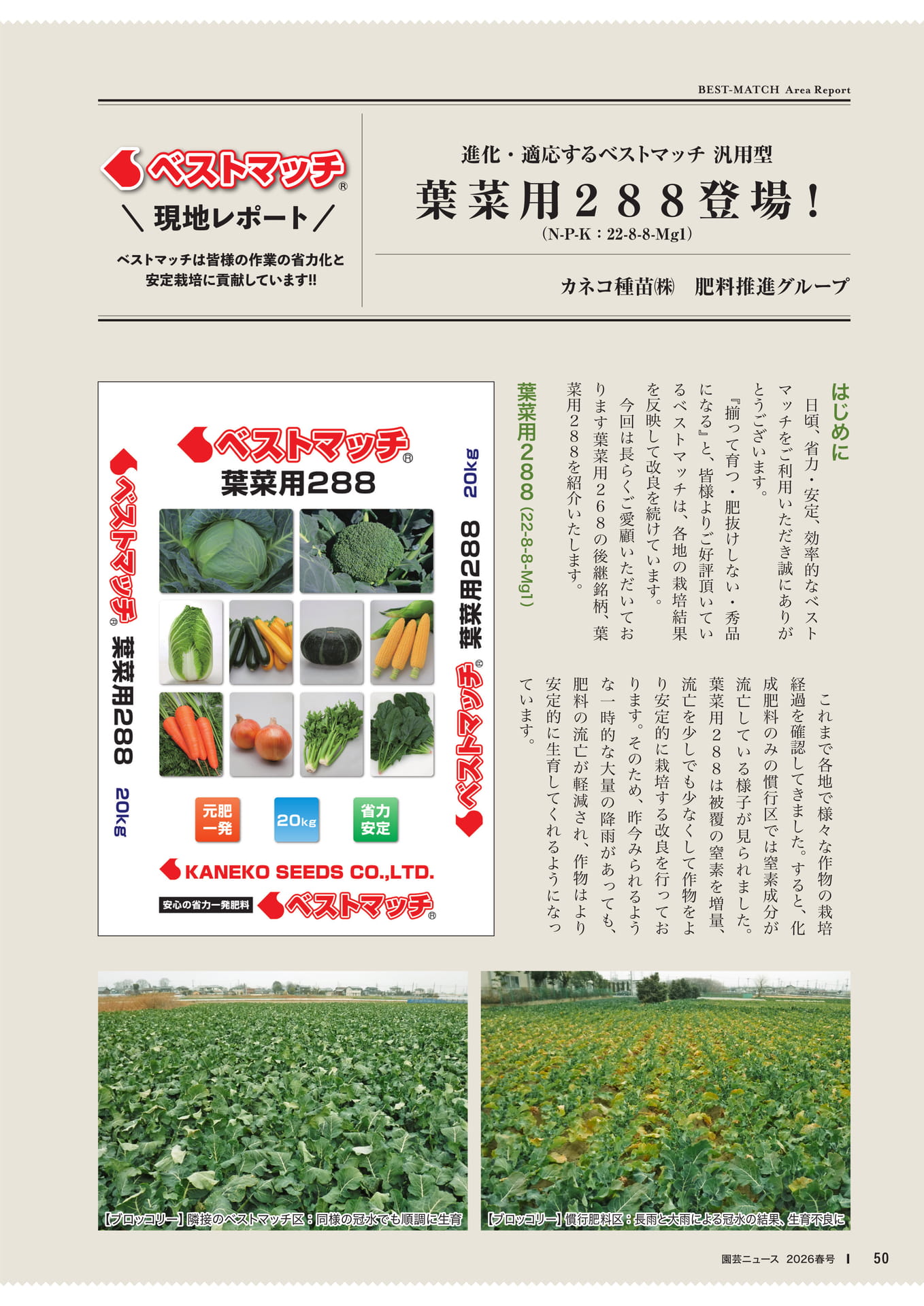 Page 52(52ページ目)