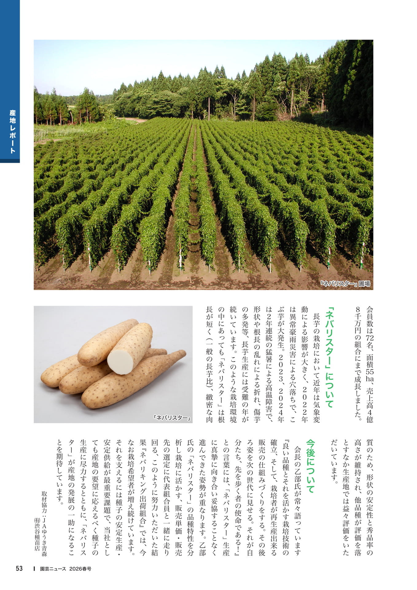 Page 55(55ページ目)