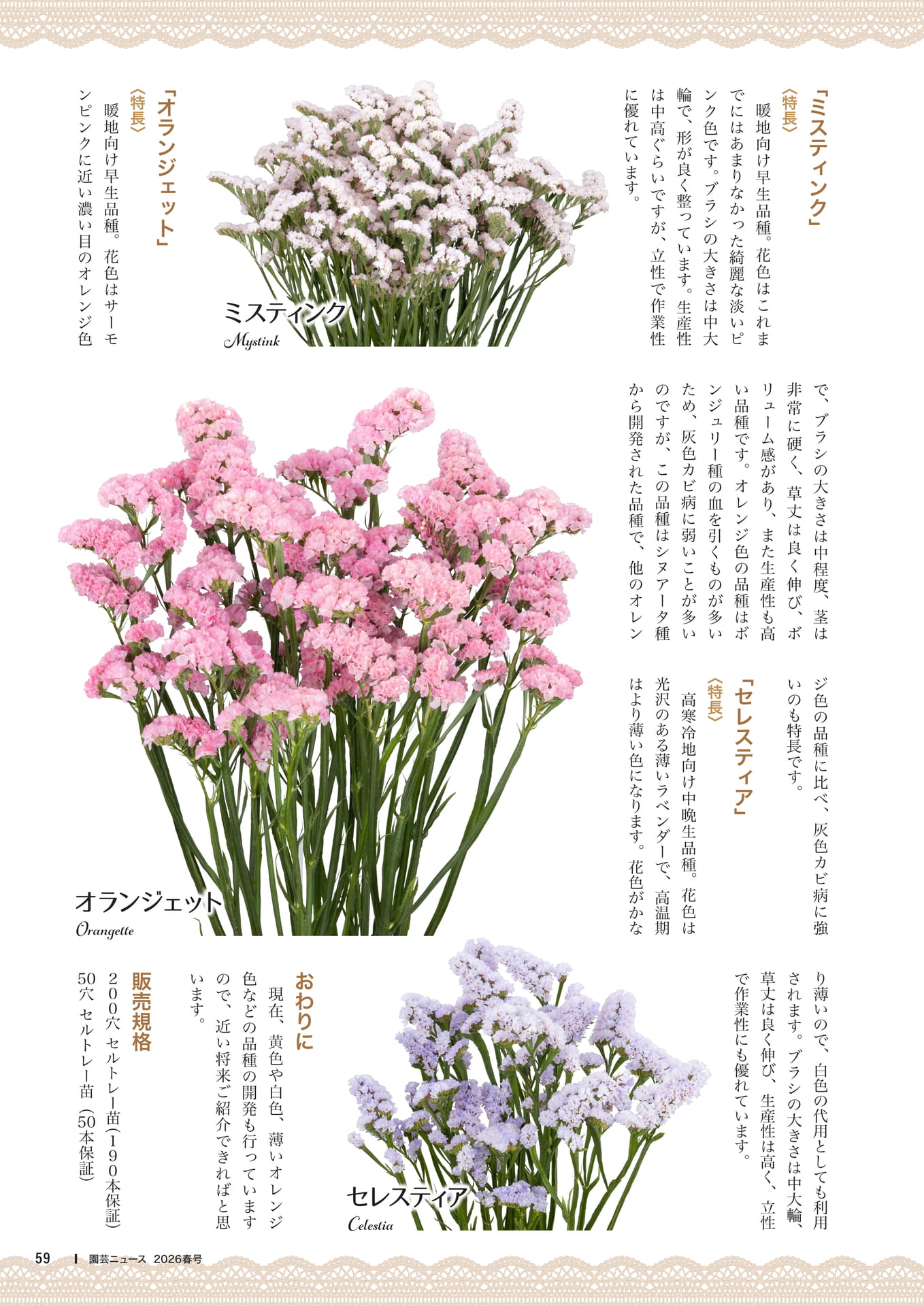 Page 61(61ページ目)