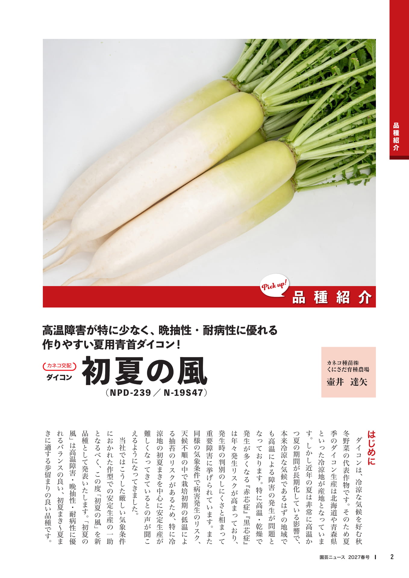 初夏の風(ダイコン)(4ページ目)