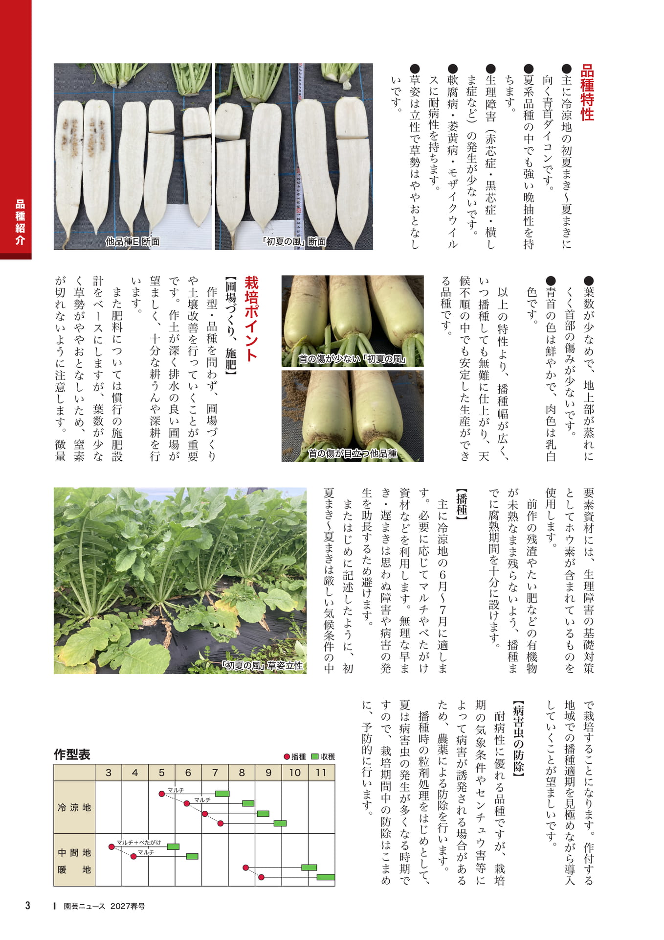 初夏の風の栽培ポイント(5ページ目)