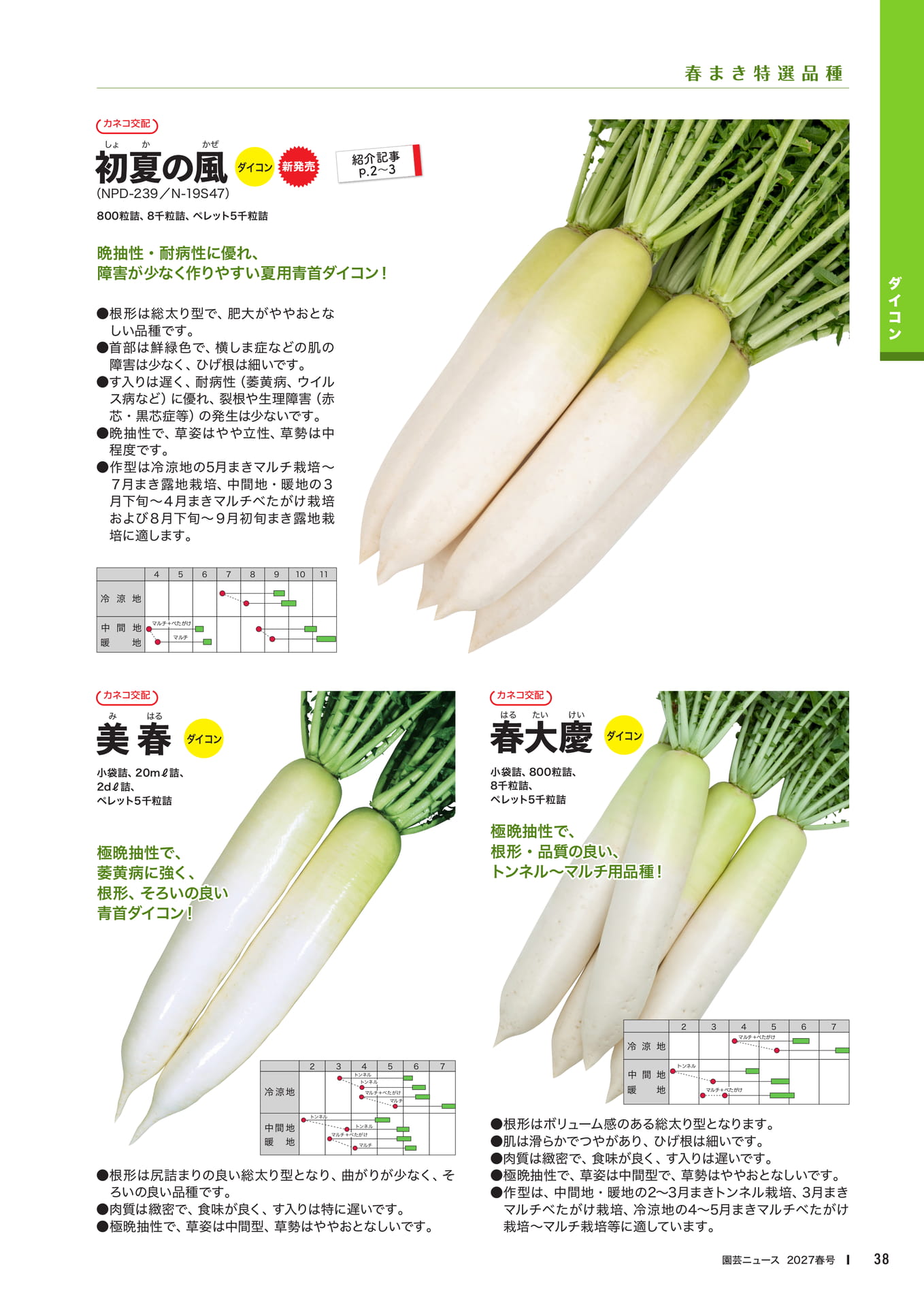 ダイコン品種紹介(1)(40ページ目)