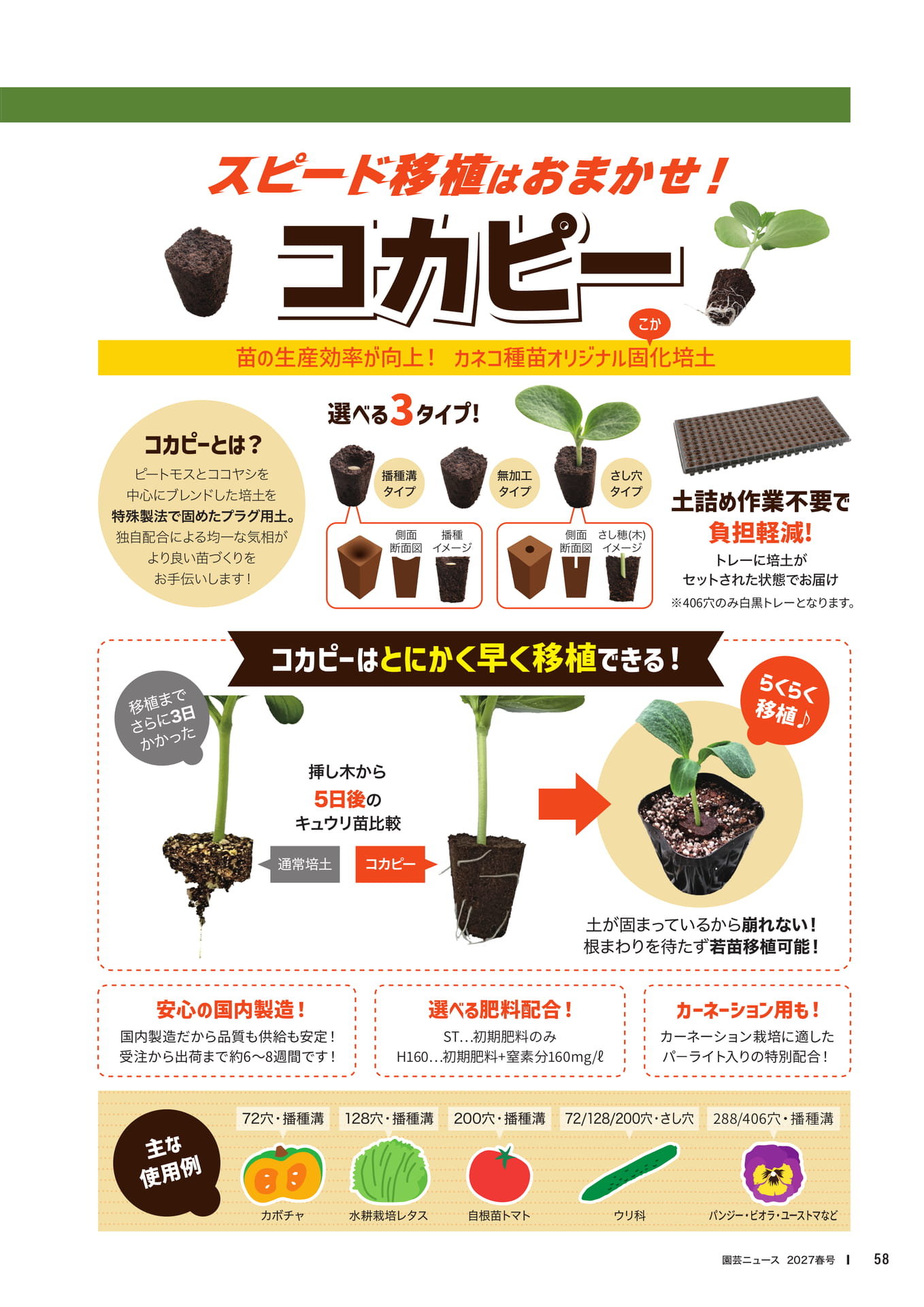 ページ(60ページ目)
