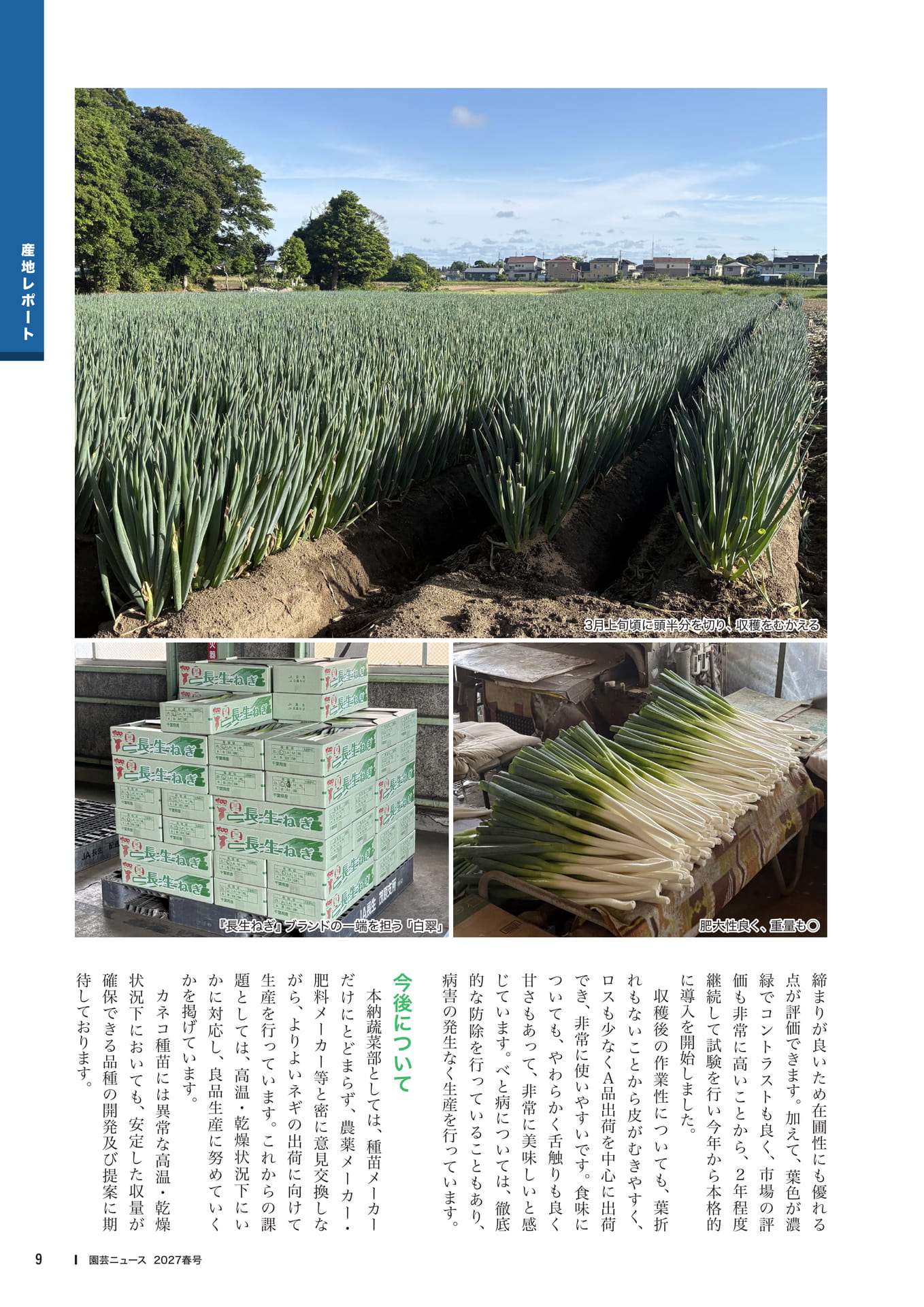 白翠のブランド力と今後(11ページ目)