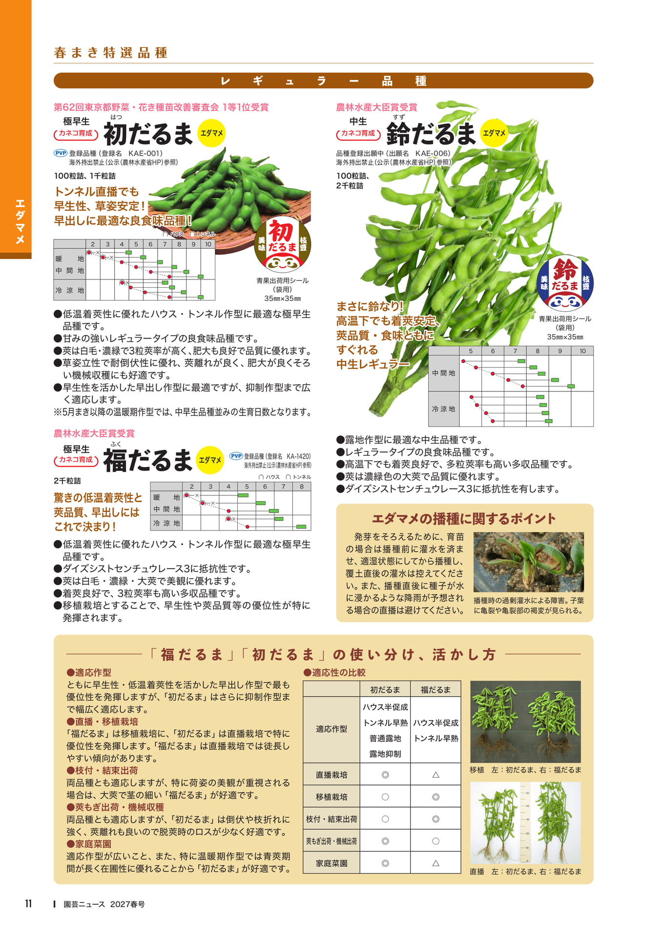 エダマメ品種紹介(レギュラー)(13ページ目)