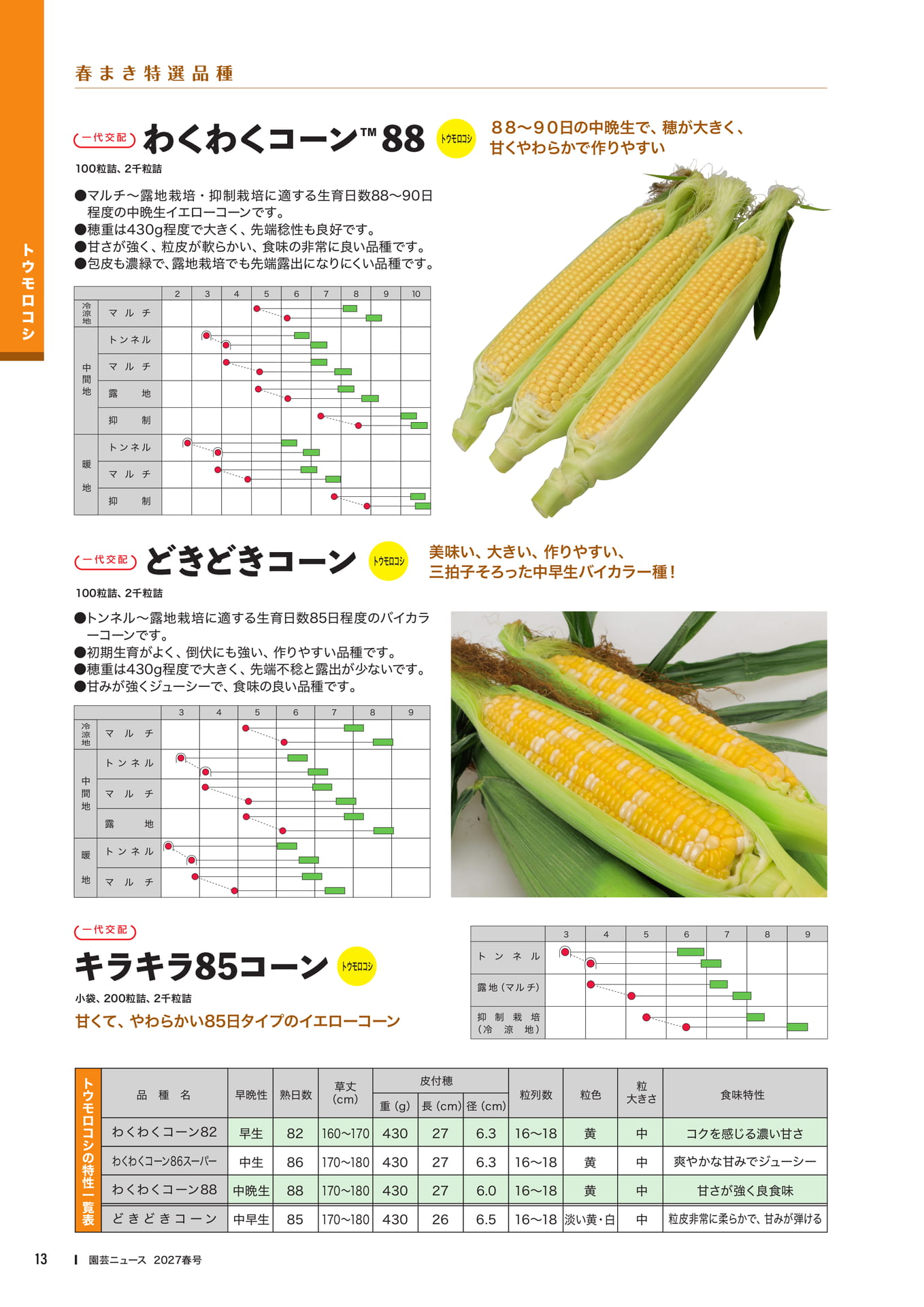 トウモロコシ品種紹介(2)(15ページ目)