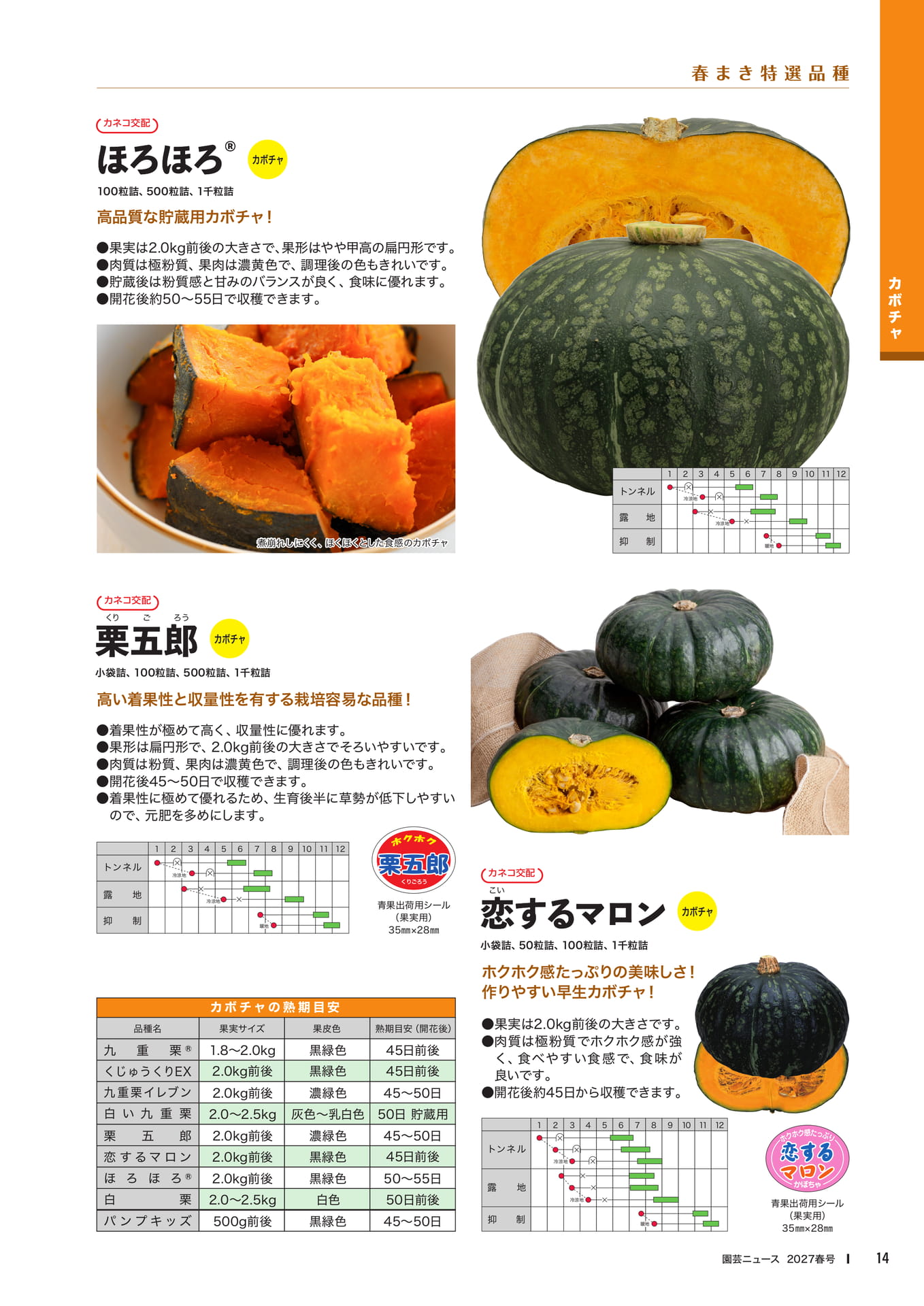 カボチャ品種紹介(1)(16ページ目)