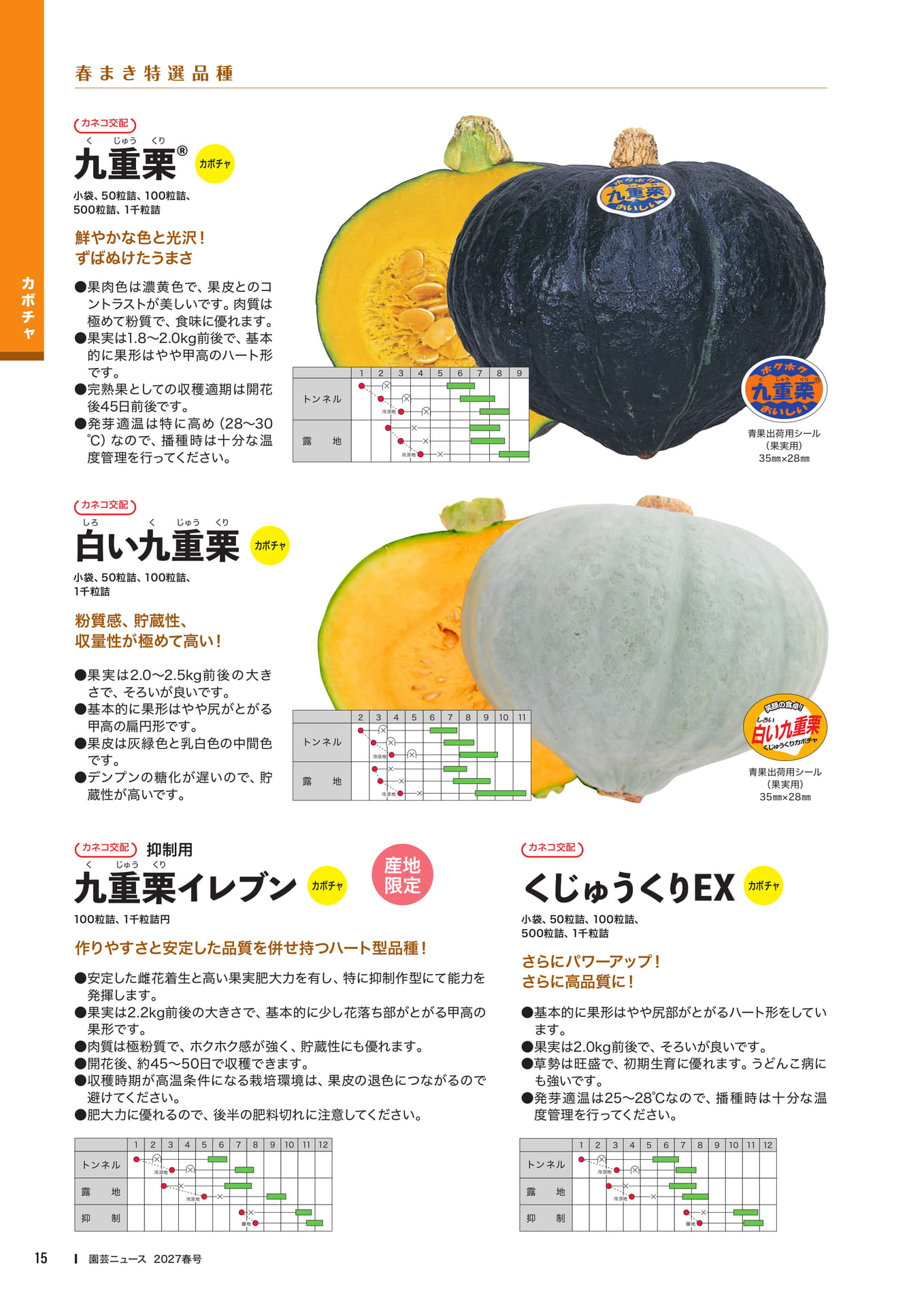 カボチャ品種紹介(2)(17ページ目)