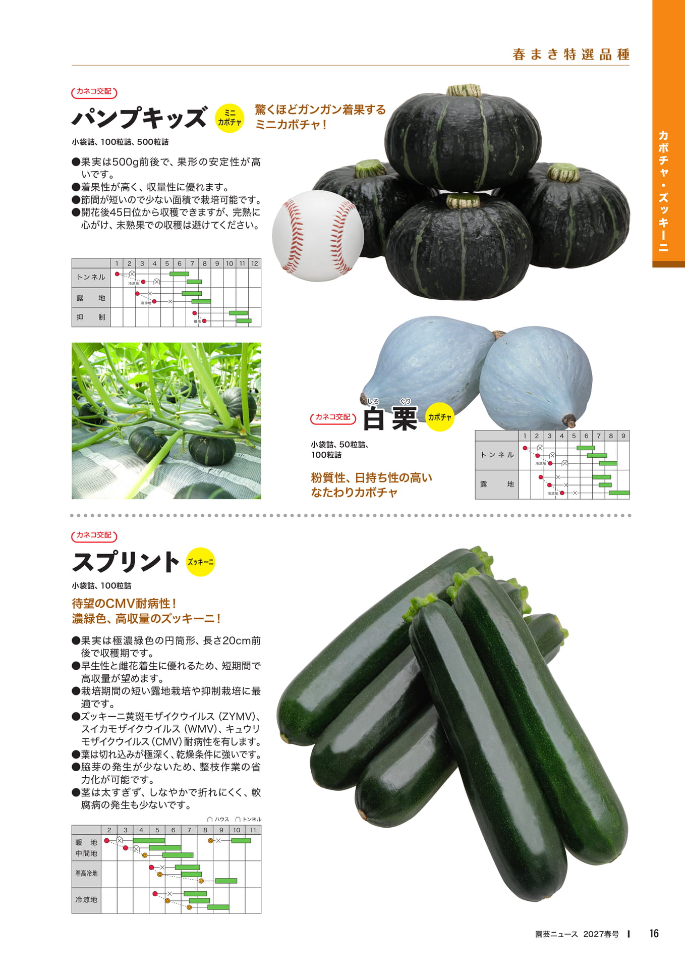 カボチャ・ズッキーニ品種紹介(18ページ目)
