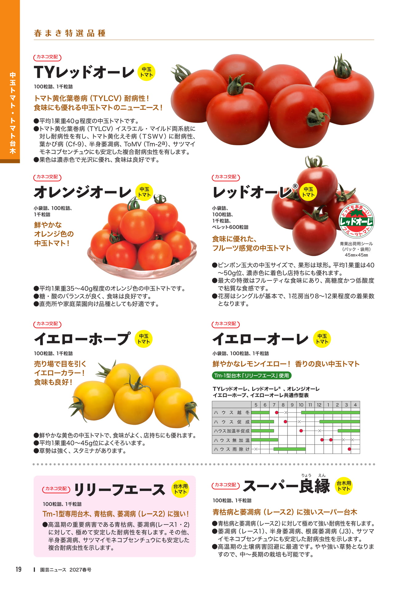中玉トマト・トマト台木品種紹介(21ページ目)