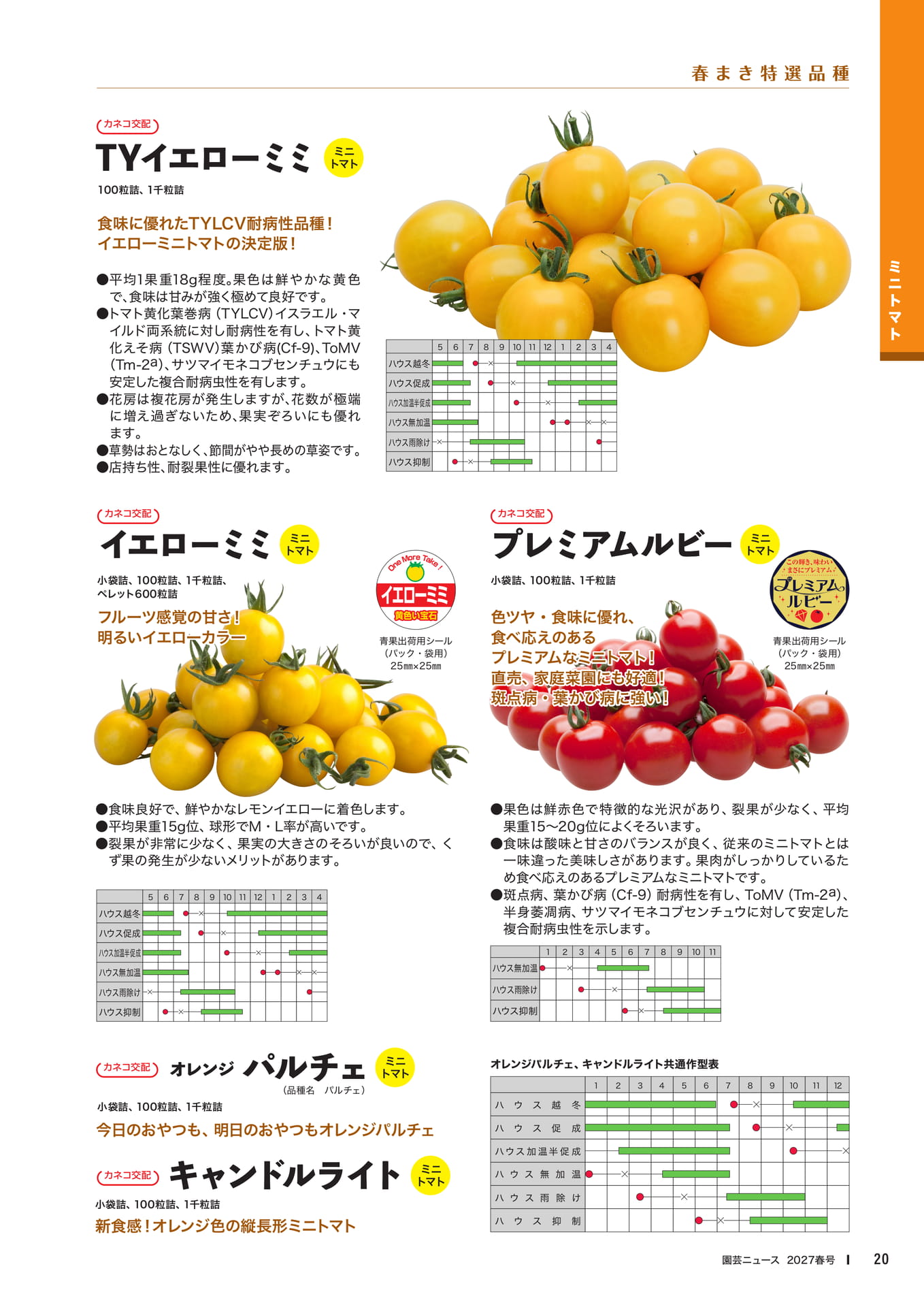 ミニトマト品種紹介(22ページ目)