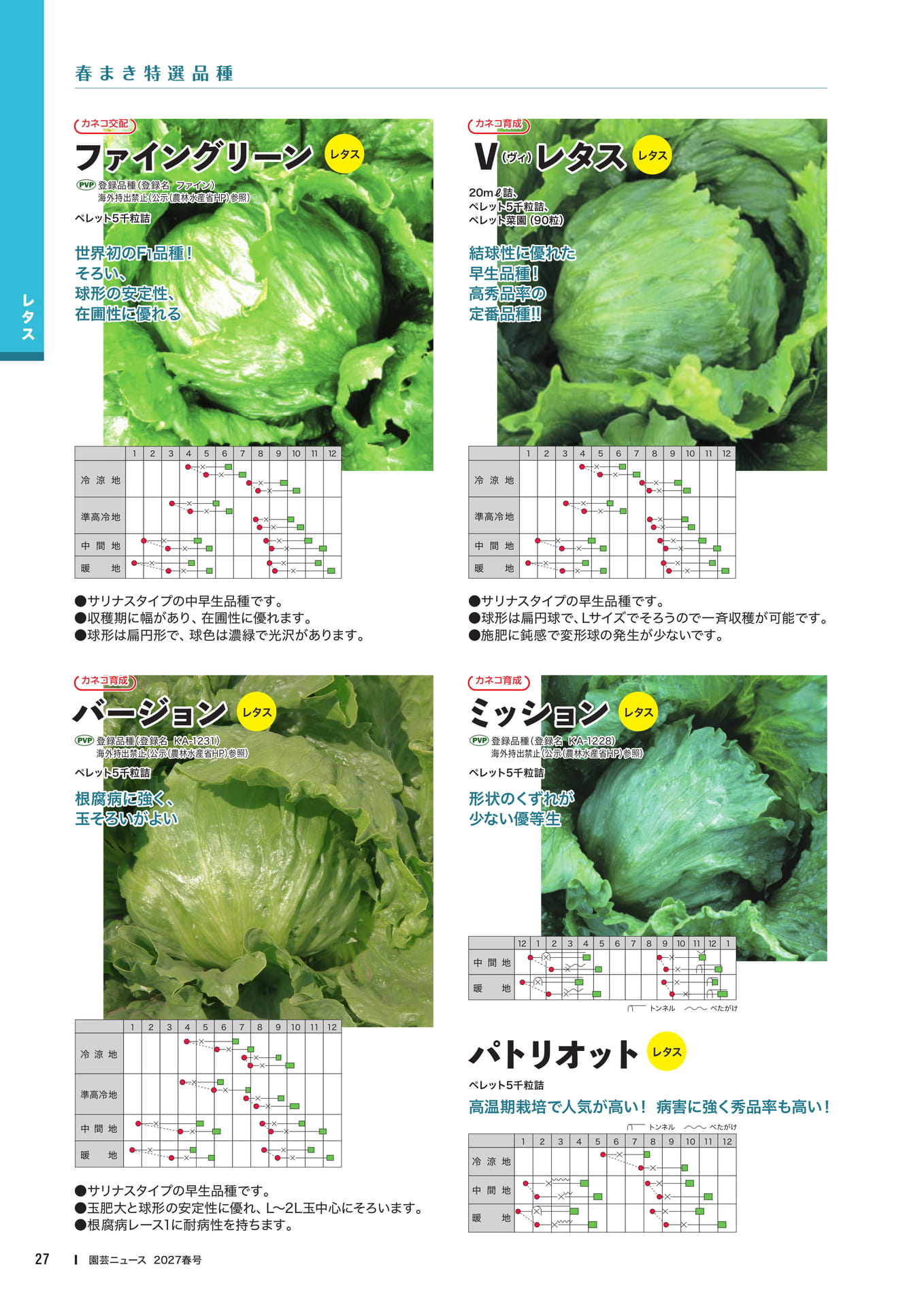 レタス品種紹介(2)(29ページ目)