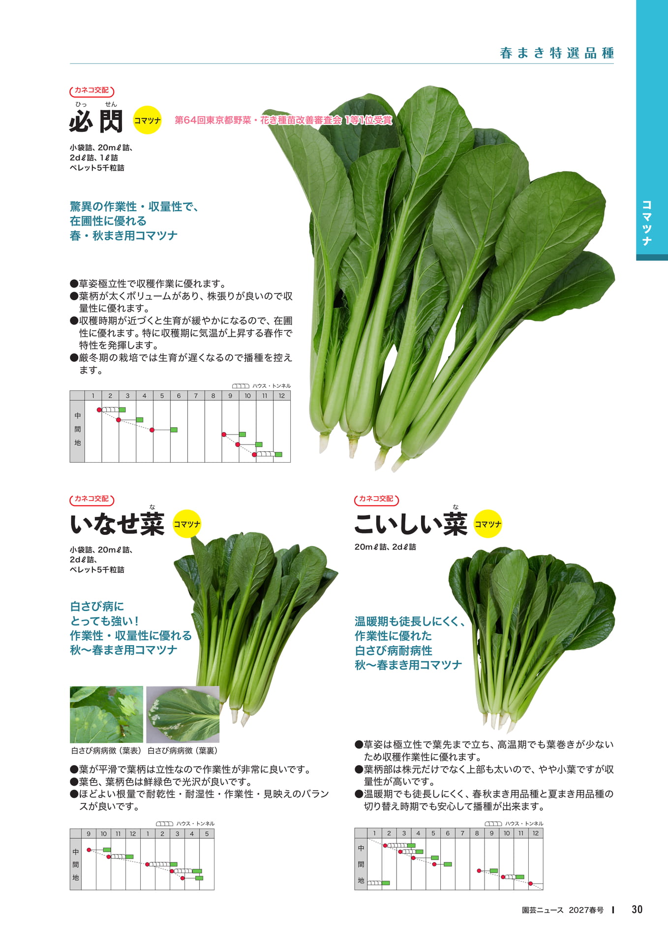 コマツナ品種紹介(1)(32ページ目)