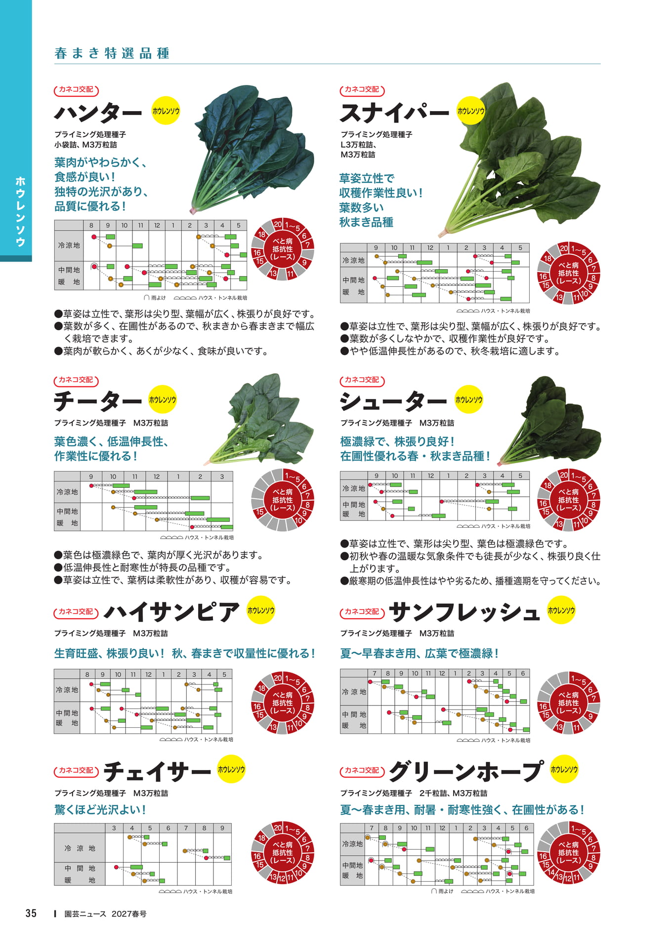 ホウレンソウ品種紹介(2)(37ページ目)