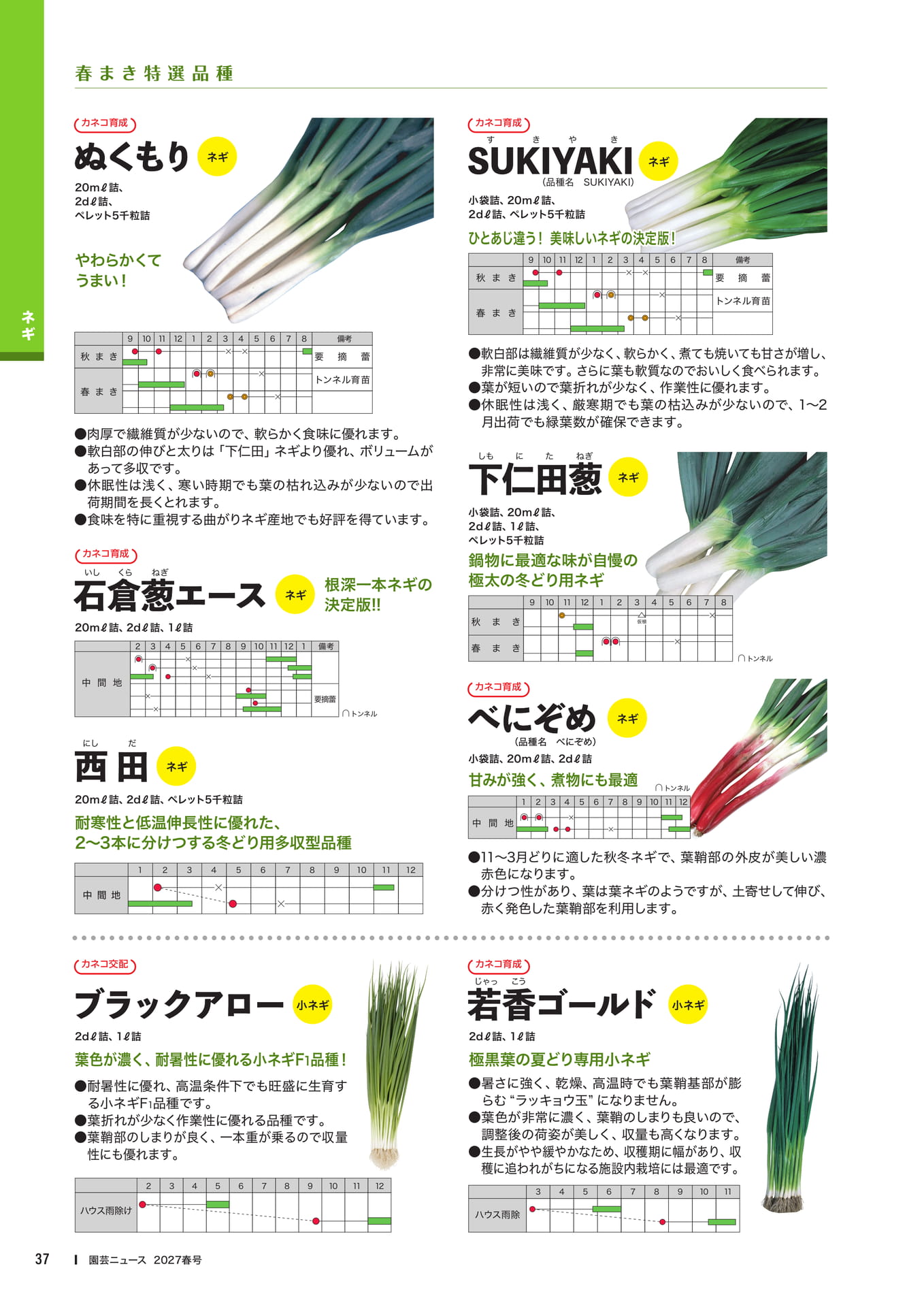 ネギ品種紹介(2)(39ページ目)