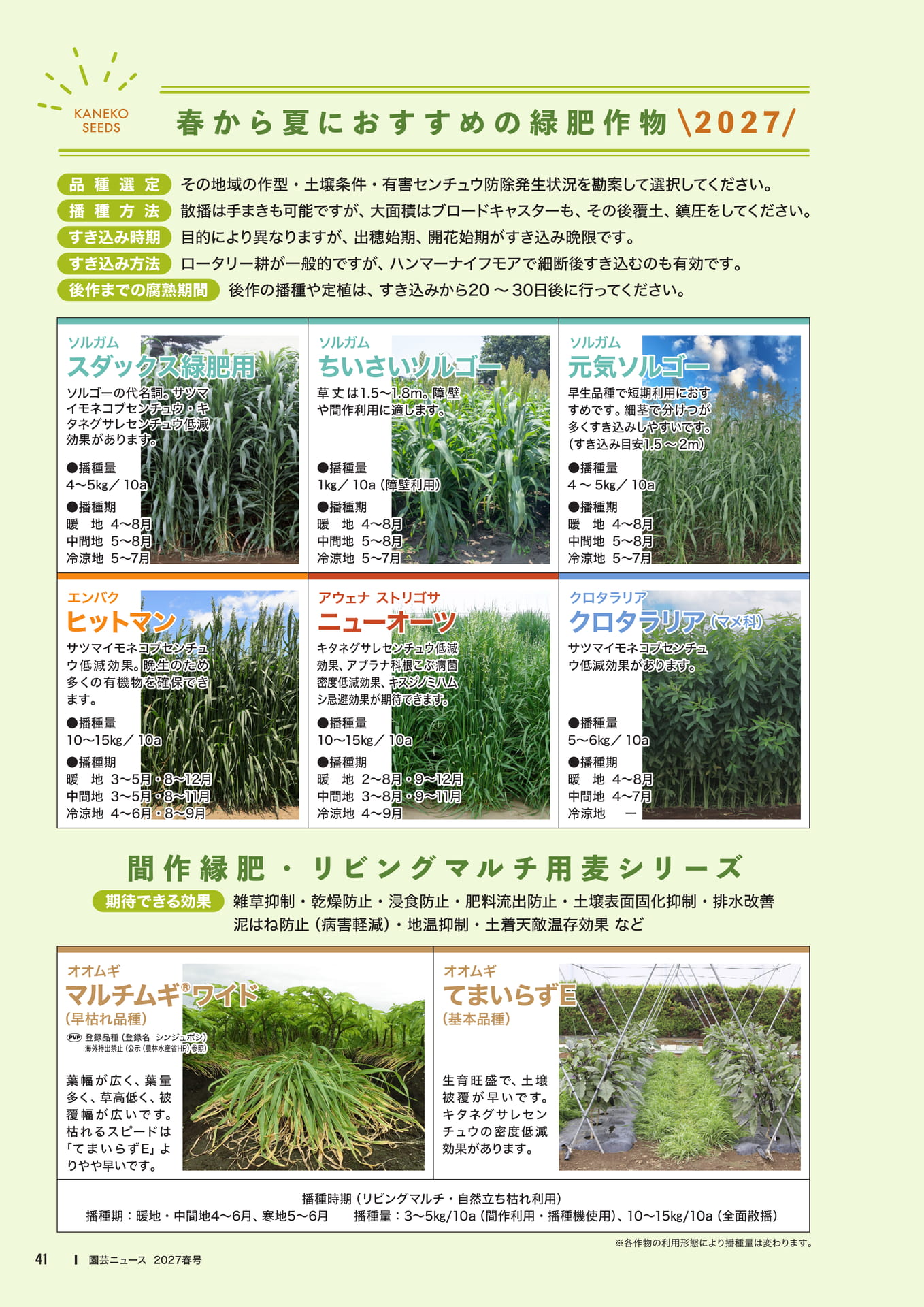 春から夏におすすめの緑肥作物(43ページ目)