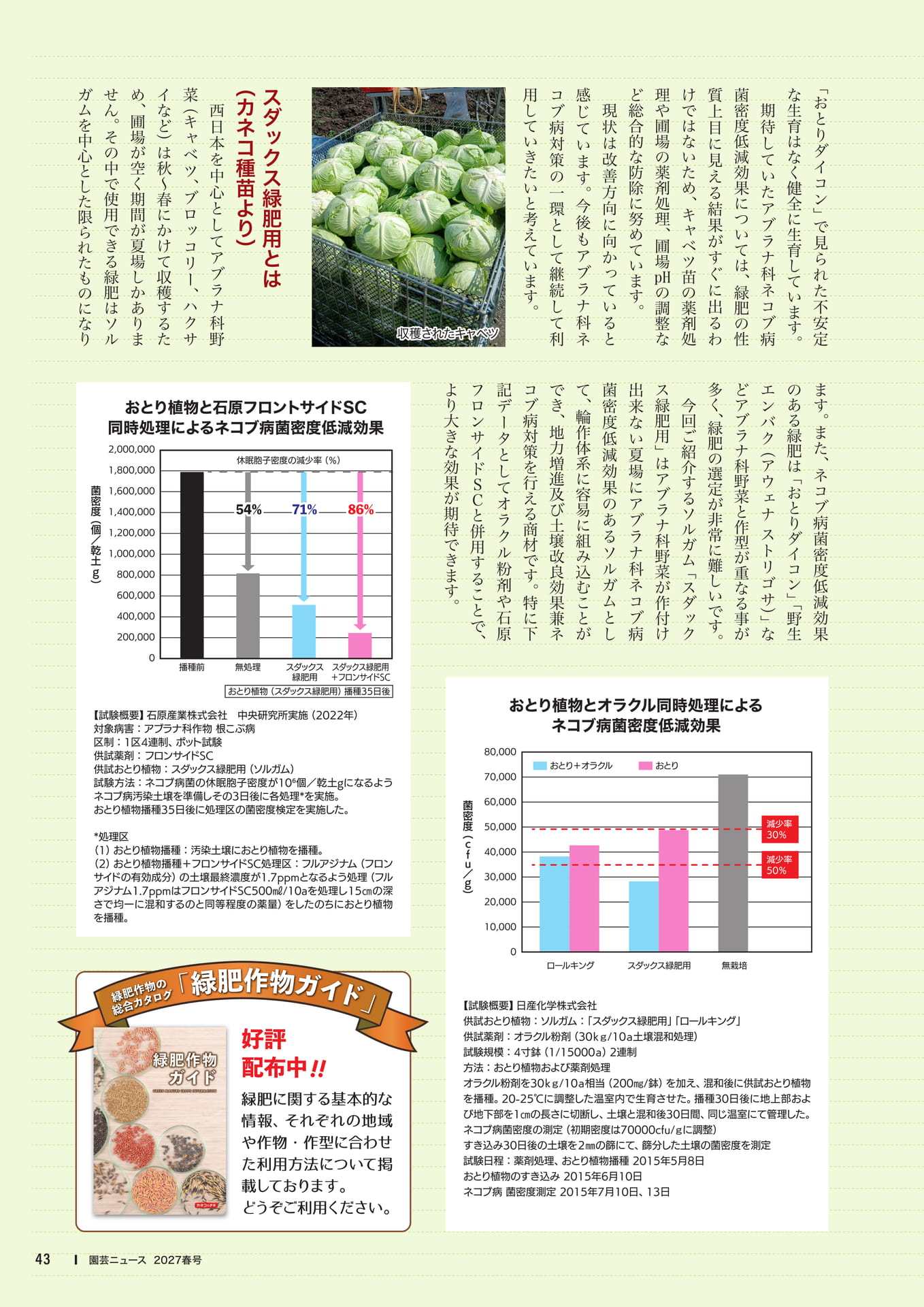 スダックス緑肥用とは(45ページ目)