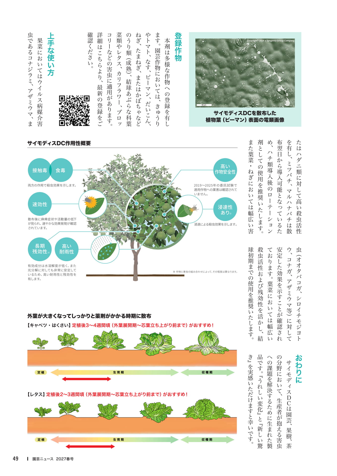 ページ(51ページ目)