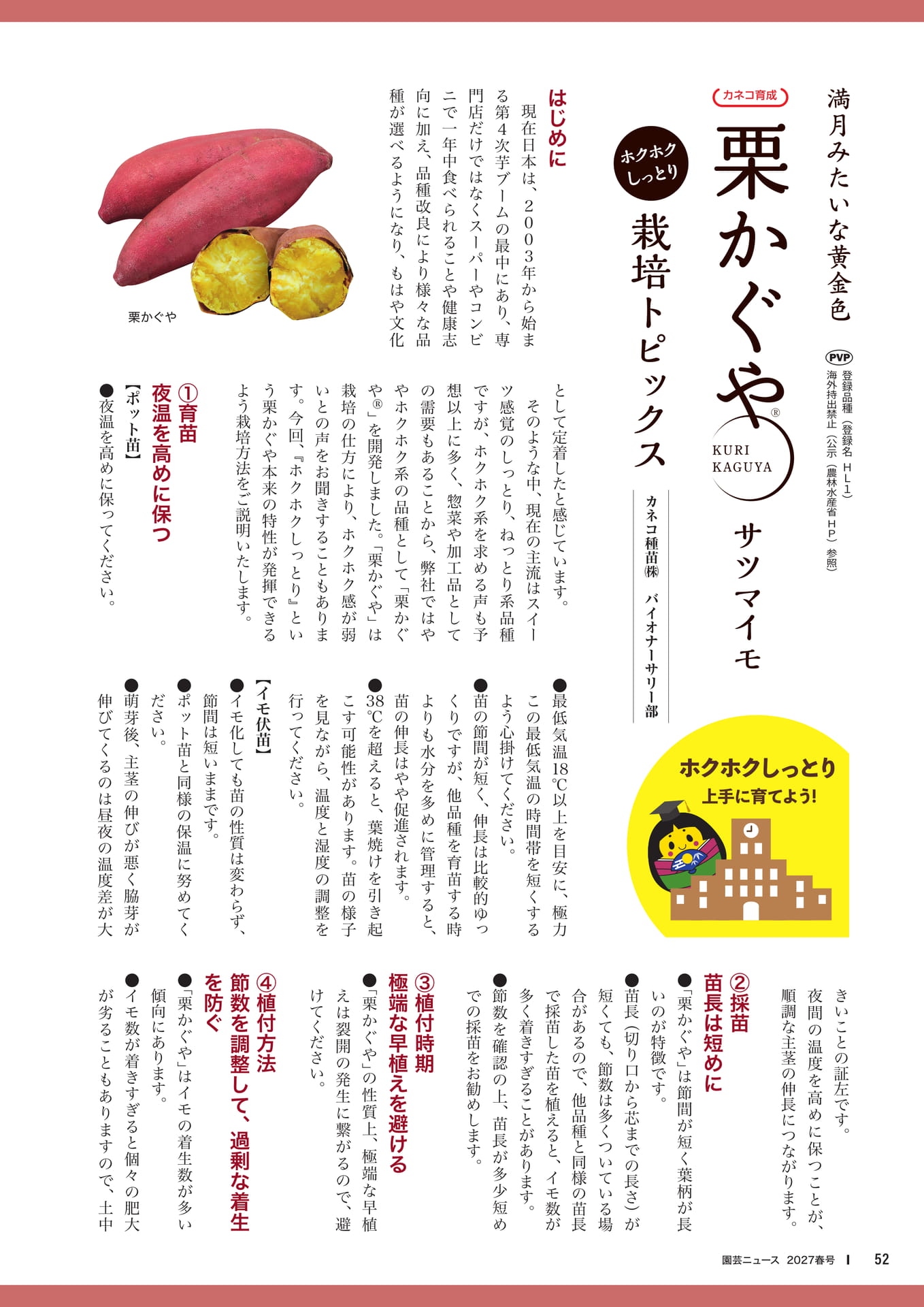 ページ(54ページ目)
