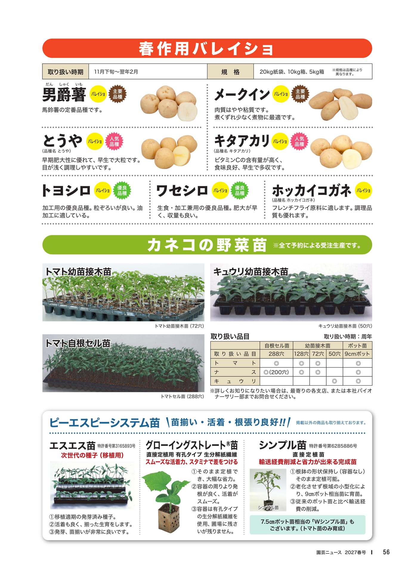 ページ(58ページ目)