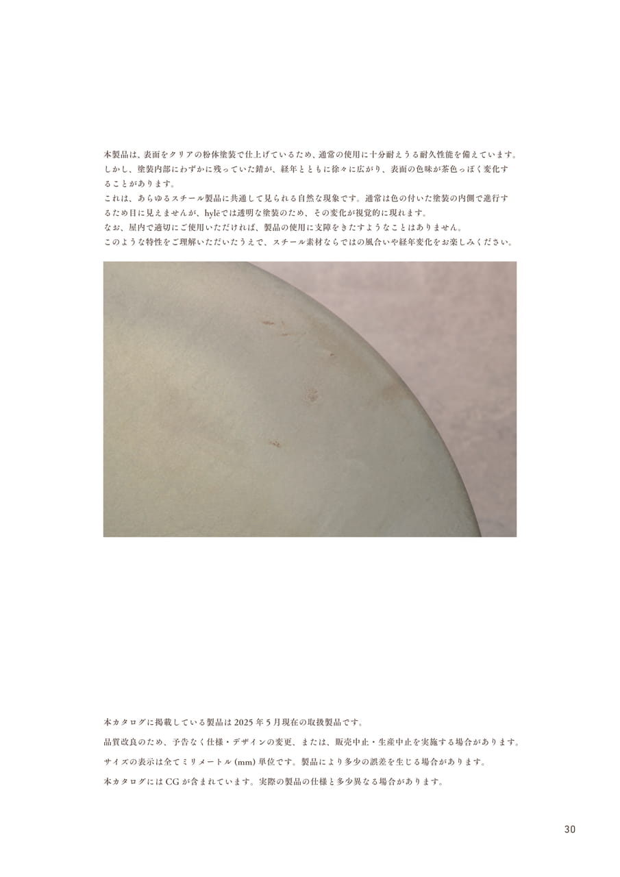 Page 31（31ページ目）