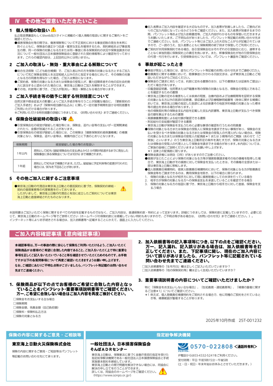 Page 11（11ページ目）