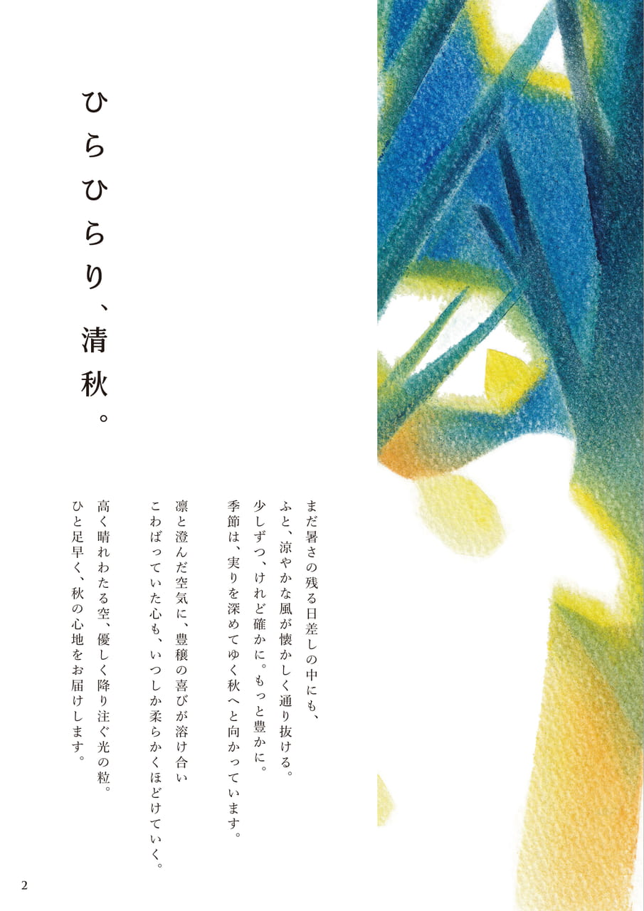 ページ（3ページ目）
