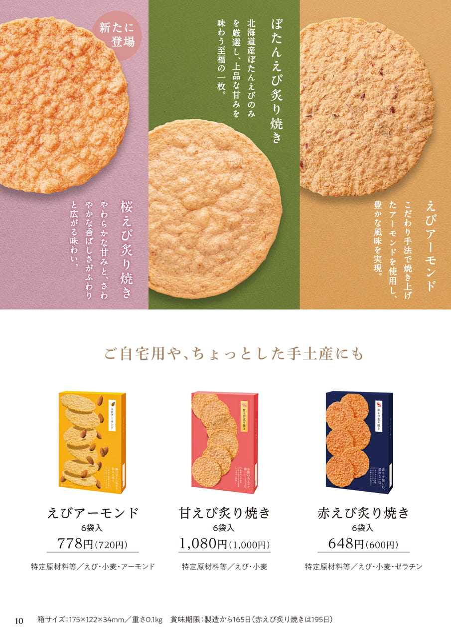 ページ（11ページ目）