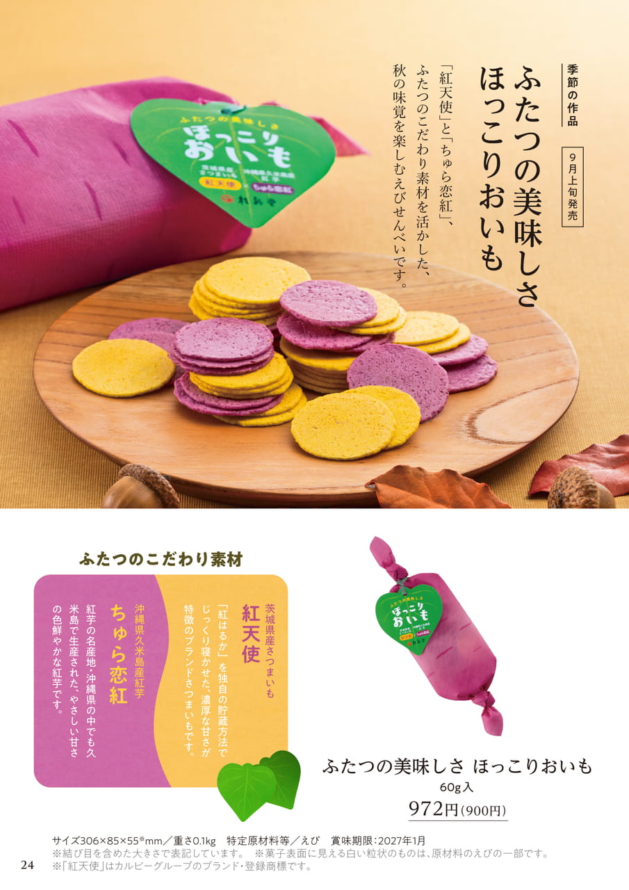 ページ（25ページ目）